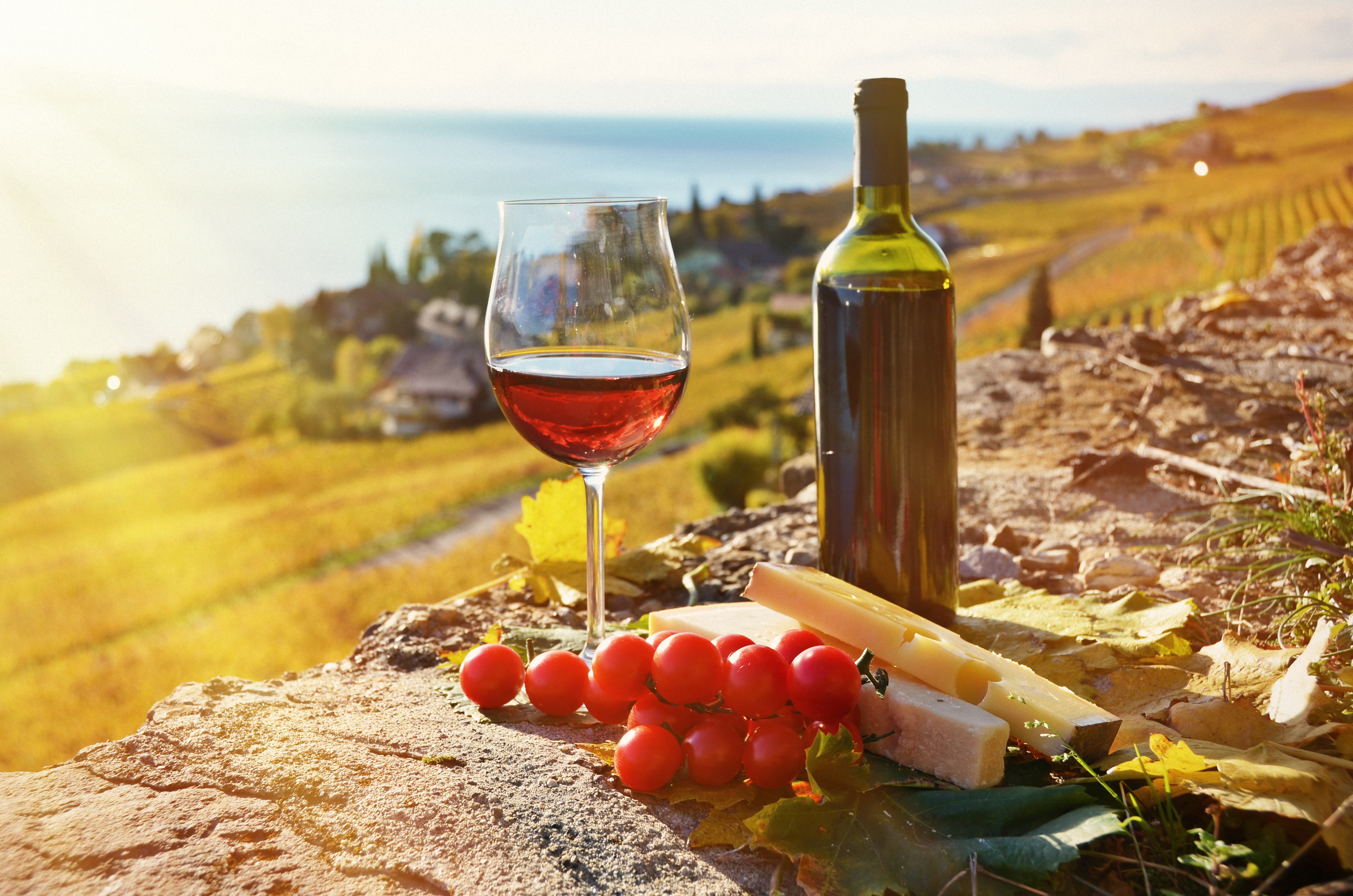 Wine bottle and glass with cheese and grapes on a vineyard landscape HD Wallpaper