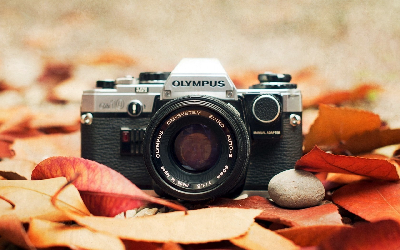 Olympus OM-System Zuiko camera on autumn leaves HD Wallpaper