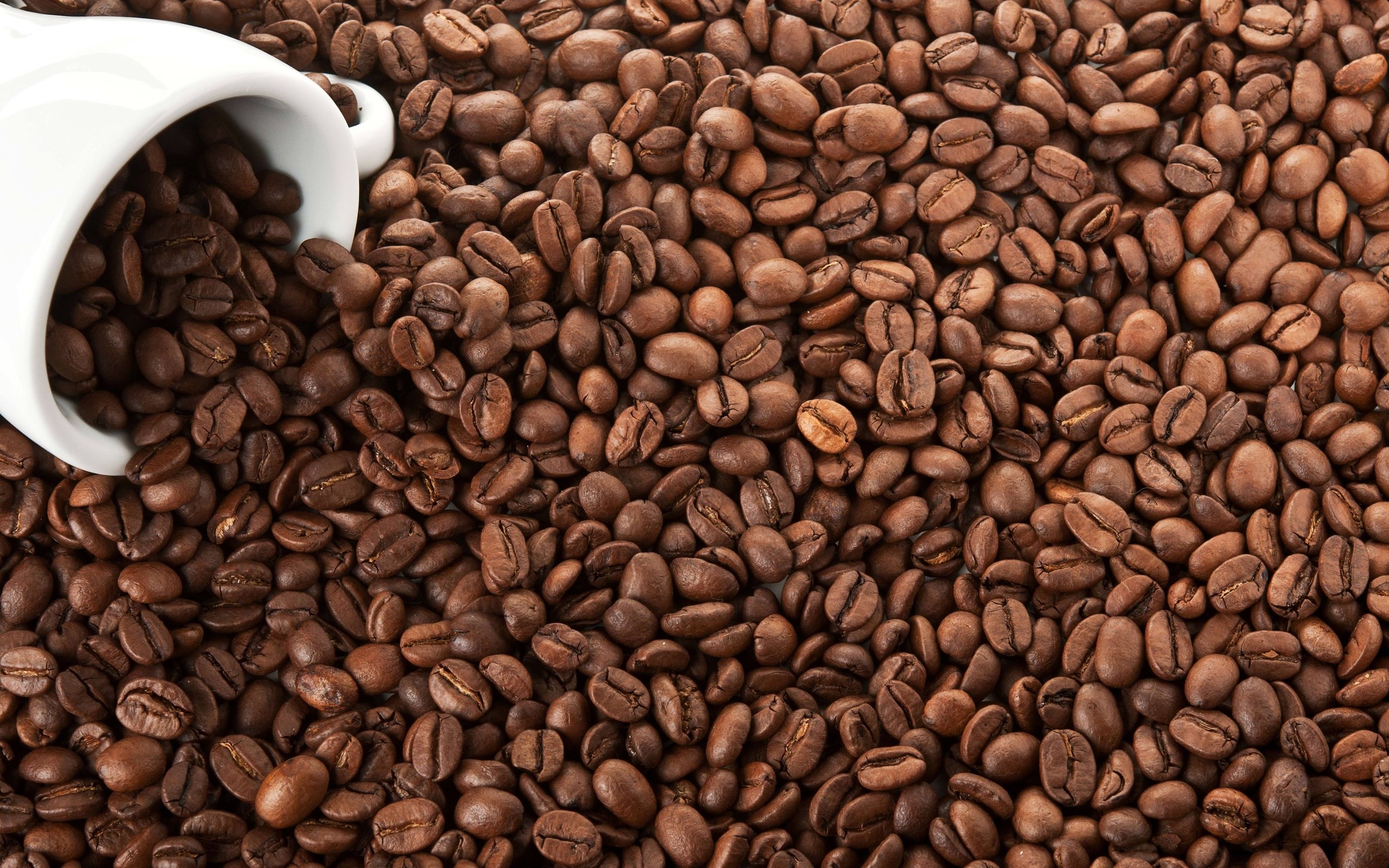 Coffee beans spilling from a white cup HD Wallpaper