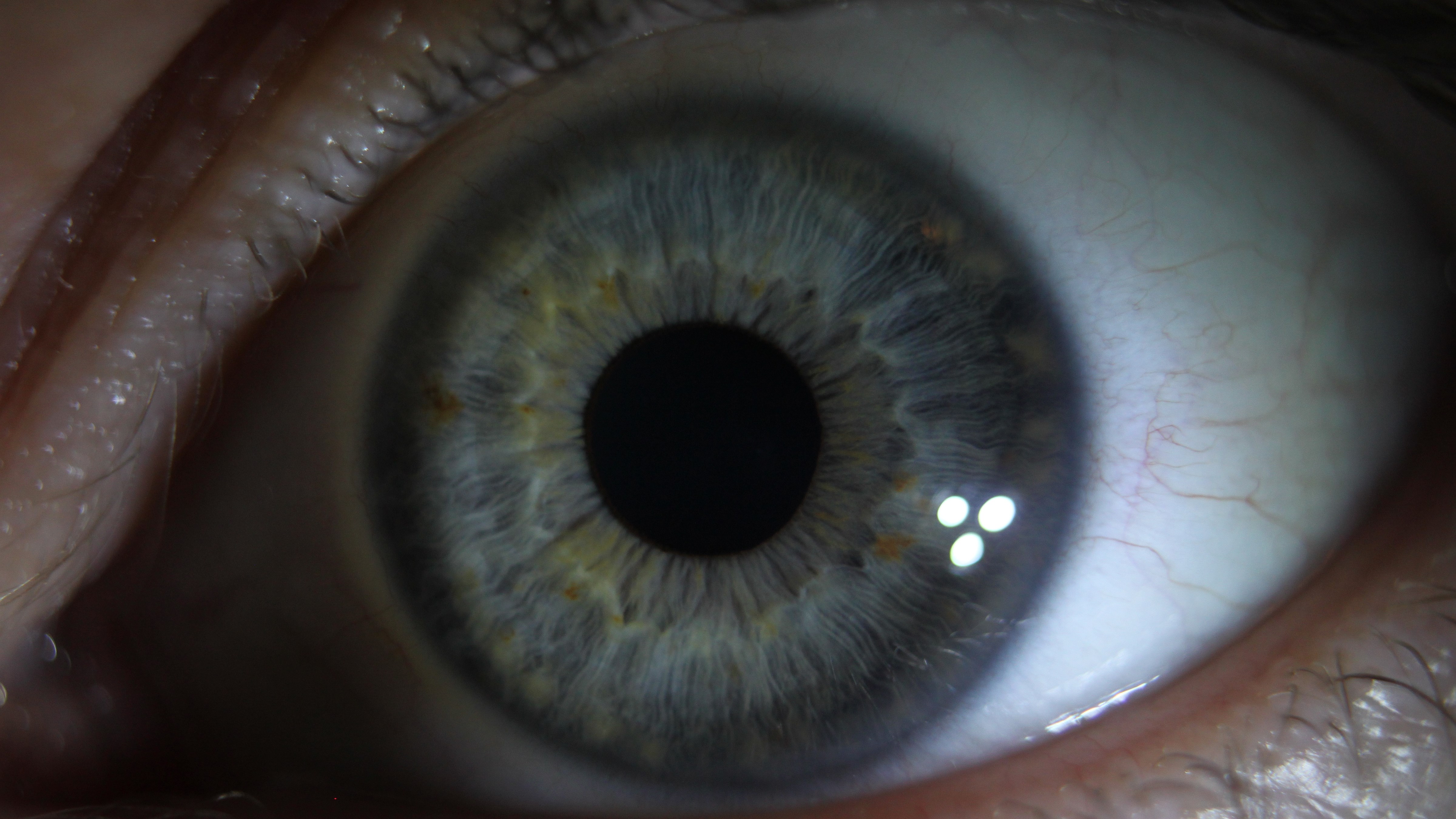 Close-up of a human eye HD Wallpaper