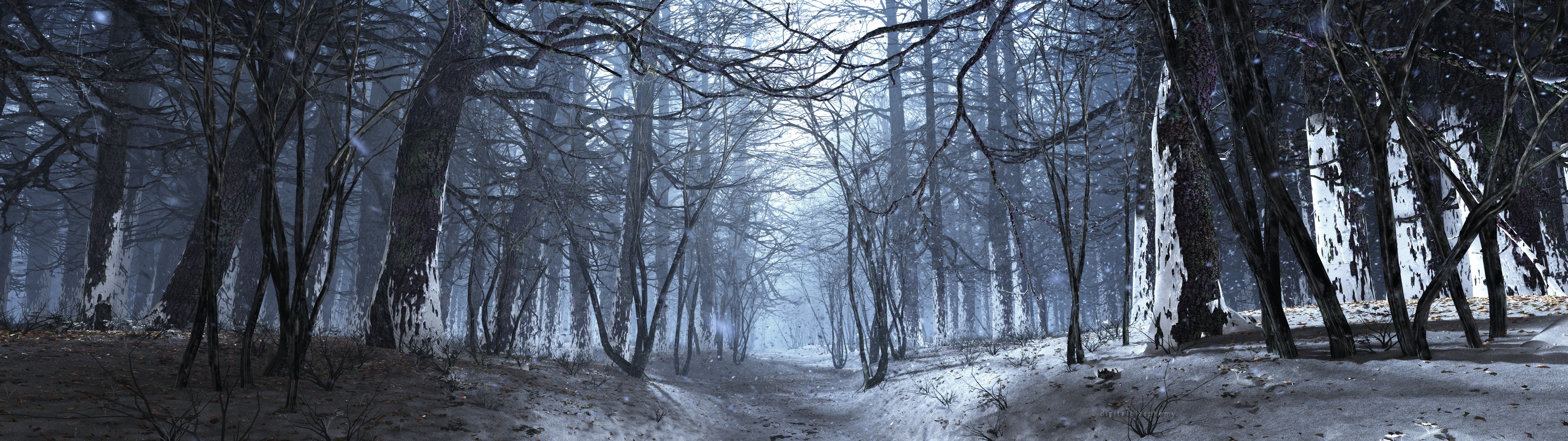 Snowy forest path with bare trees HD Wallpaper
