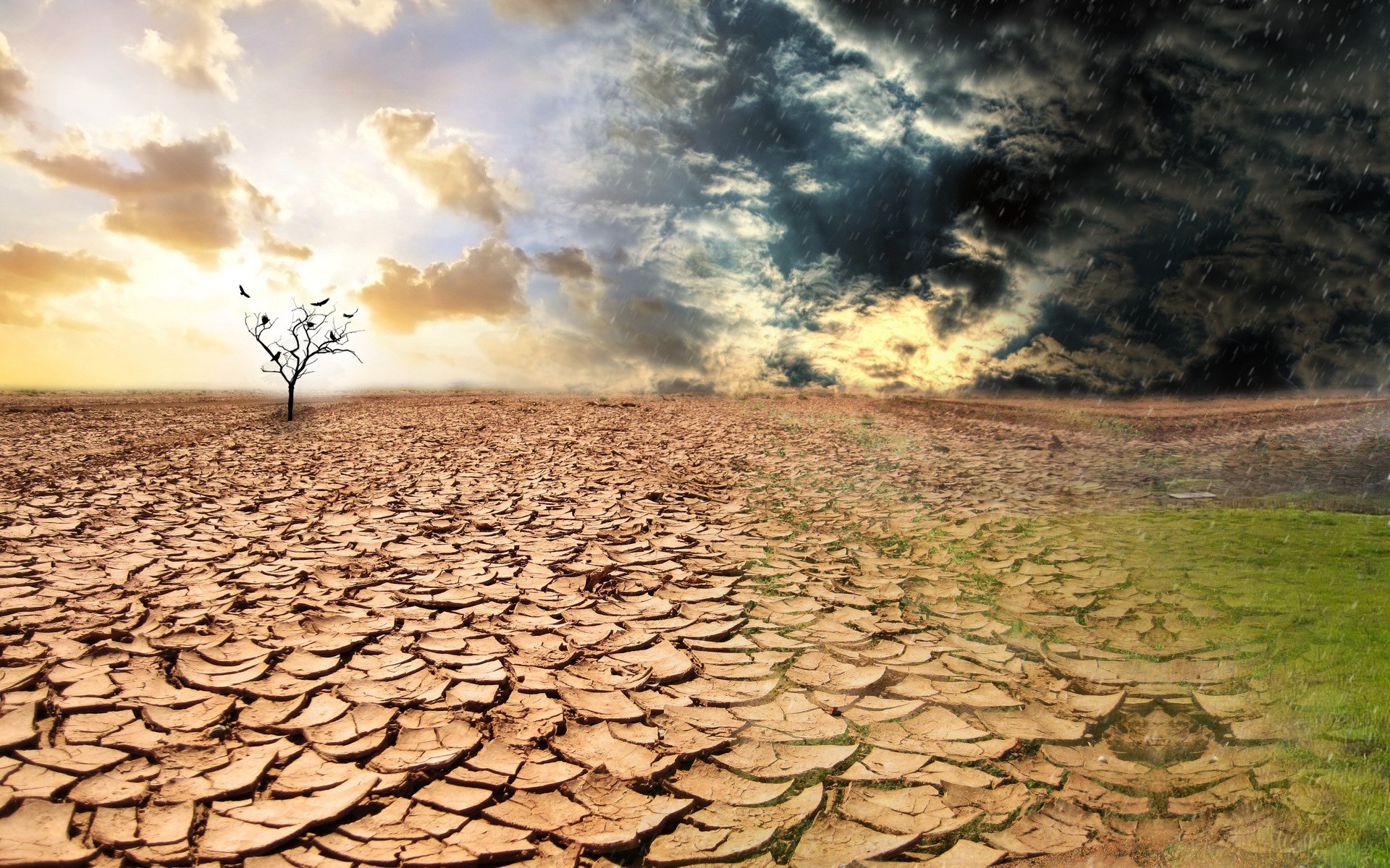 Drought and rain landscape manipulation HD Wallpaper