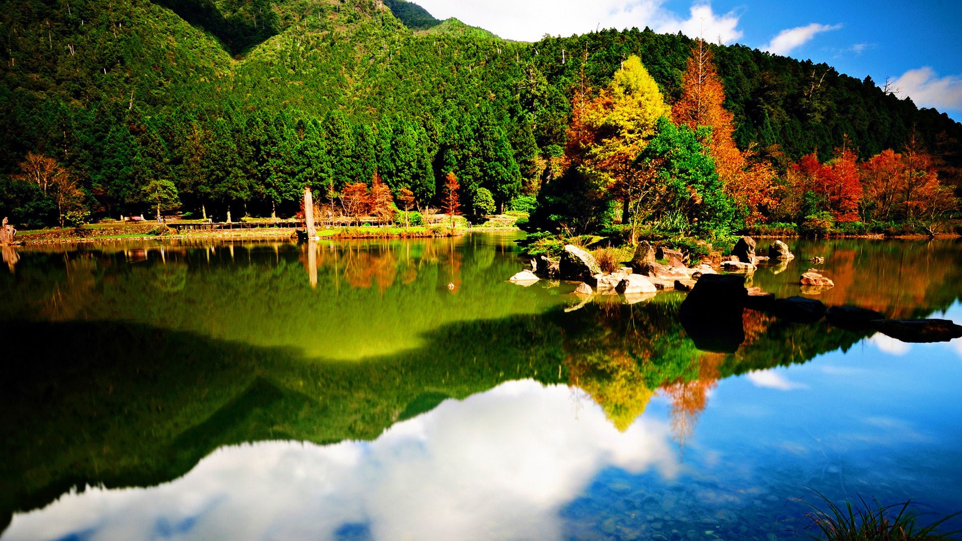 Autumn trees reflected in a calm lake with mountains HD Wallpaper