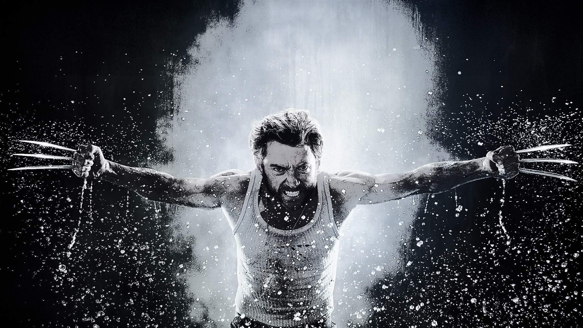 Wolverine from X-Men HD Wallpaper