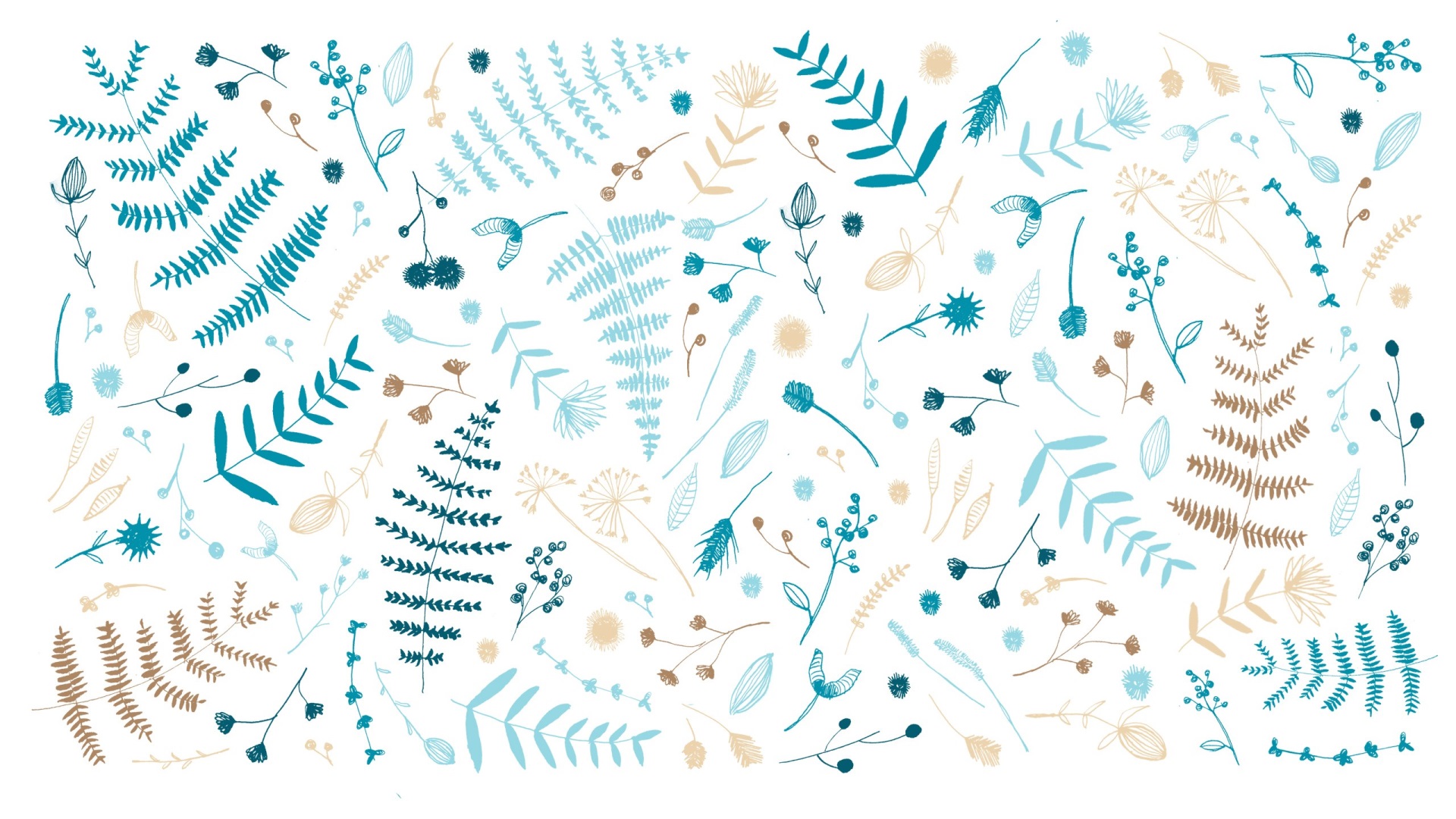 Botanical illustrations of leaves and flowers HD Wallpaper