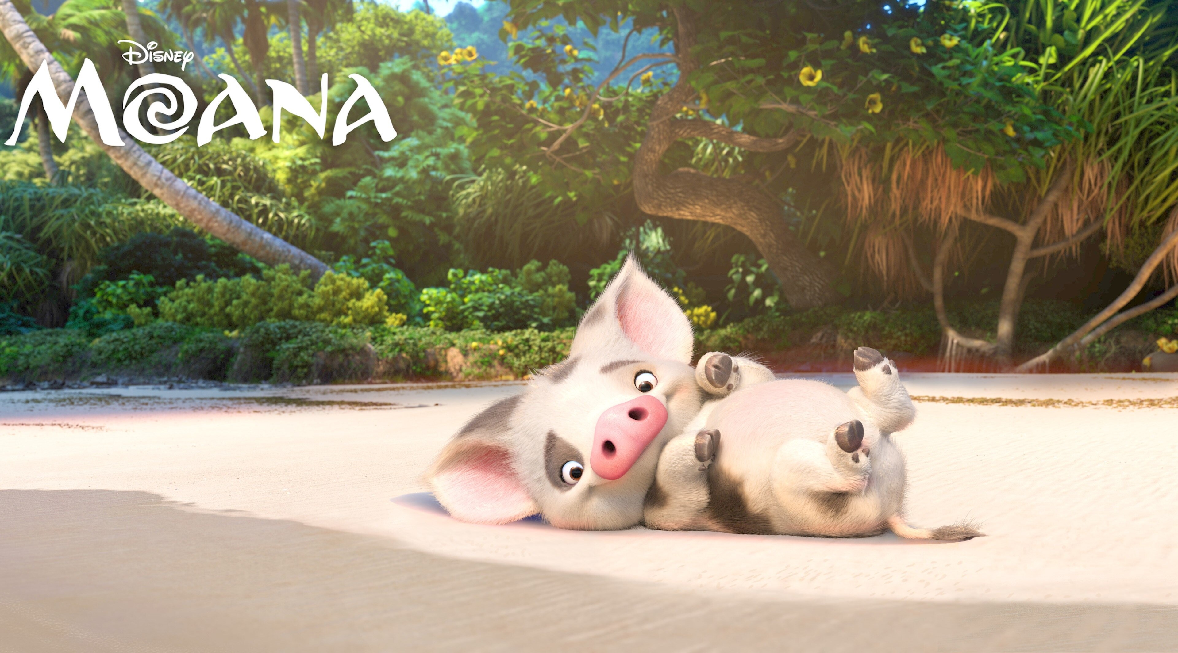 Pua the pig from Moana 4K HD Wallpaper