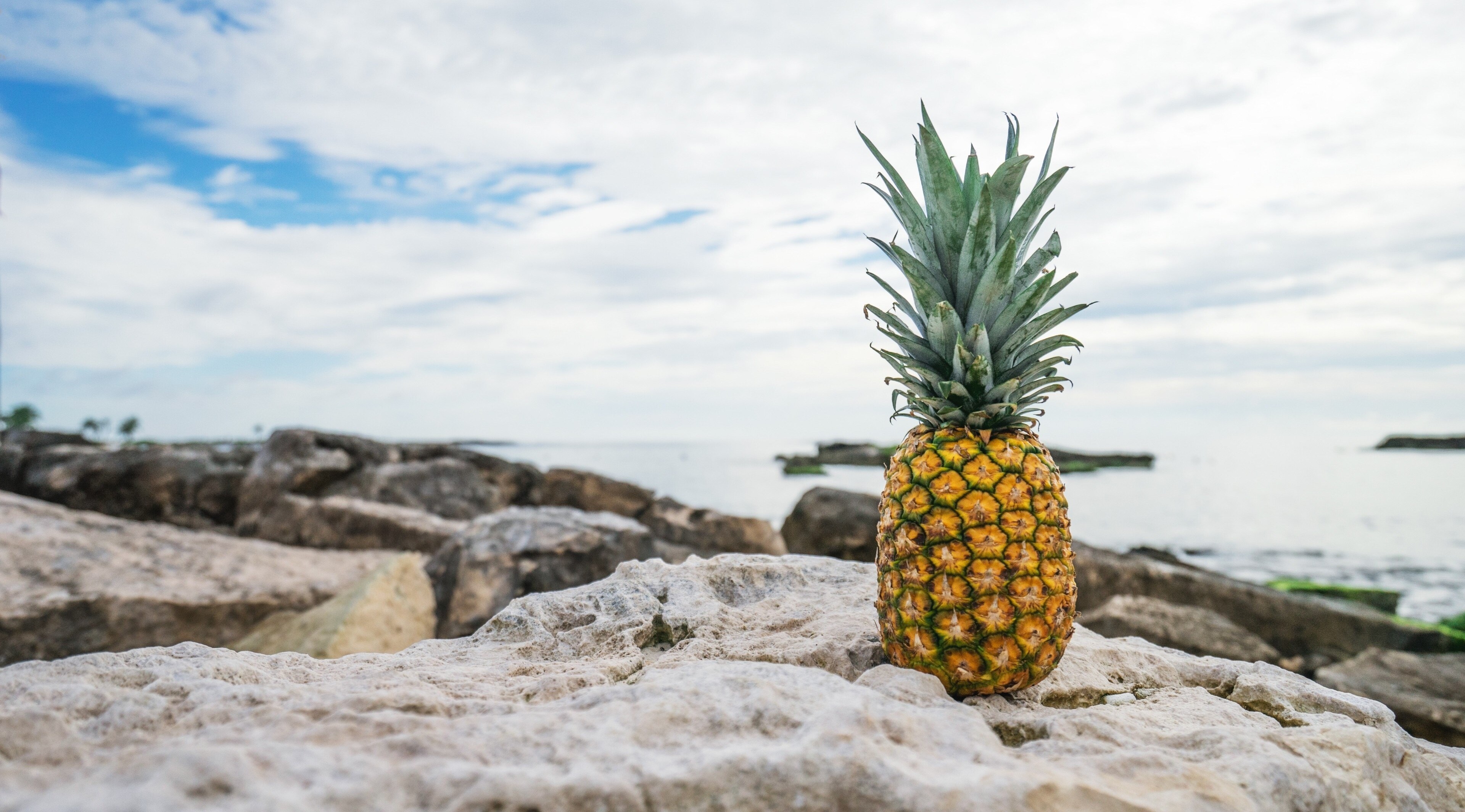 Pineapple on rocks by the sea 4K HD Wallpaper