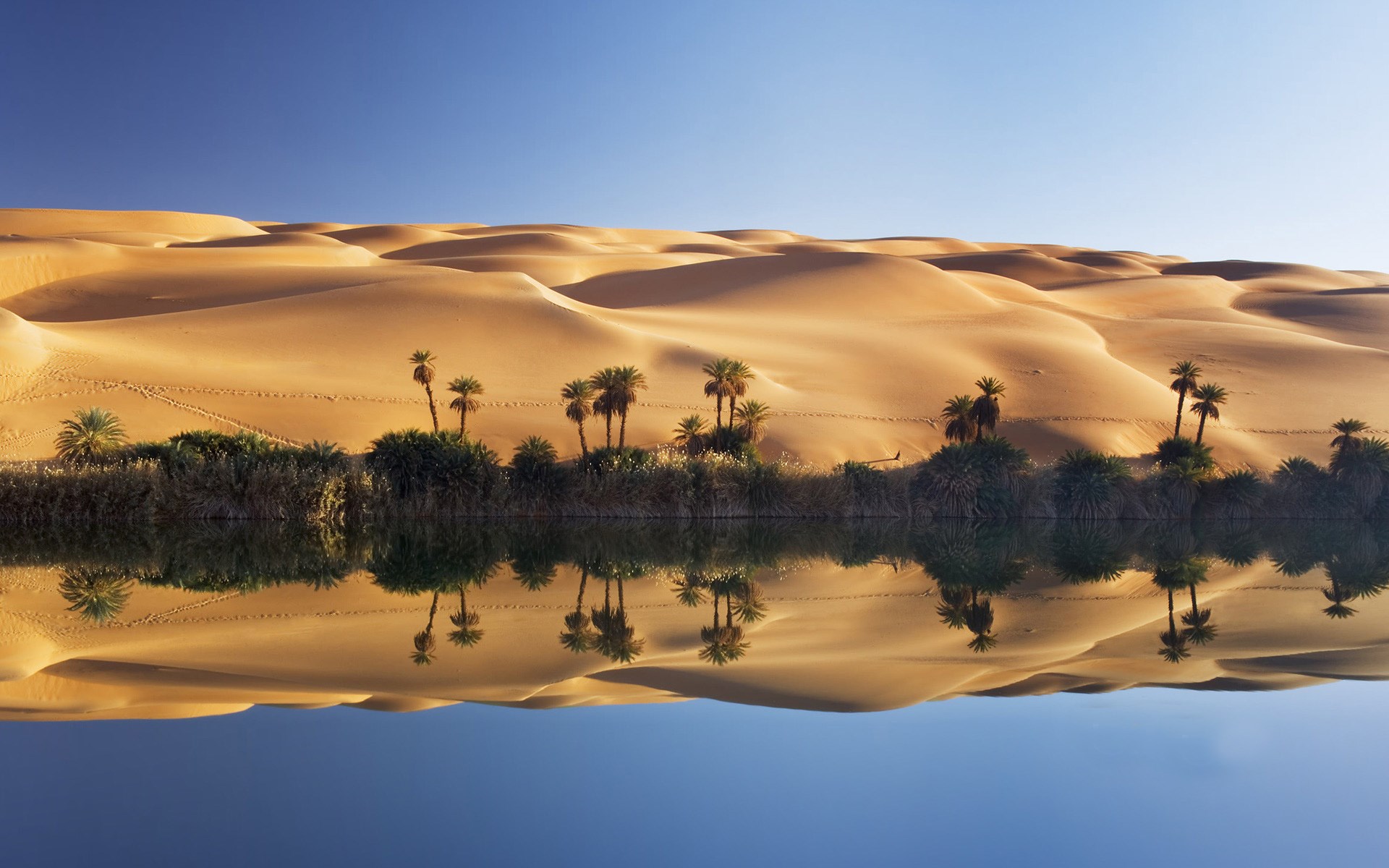Desert oasis with sand dunes and palm trees reflected in water HD Wallpaper