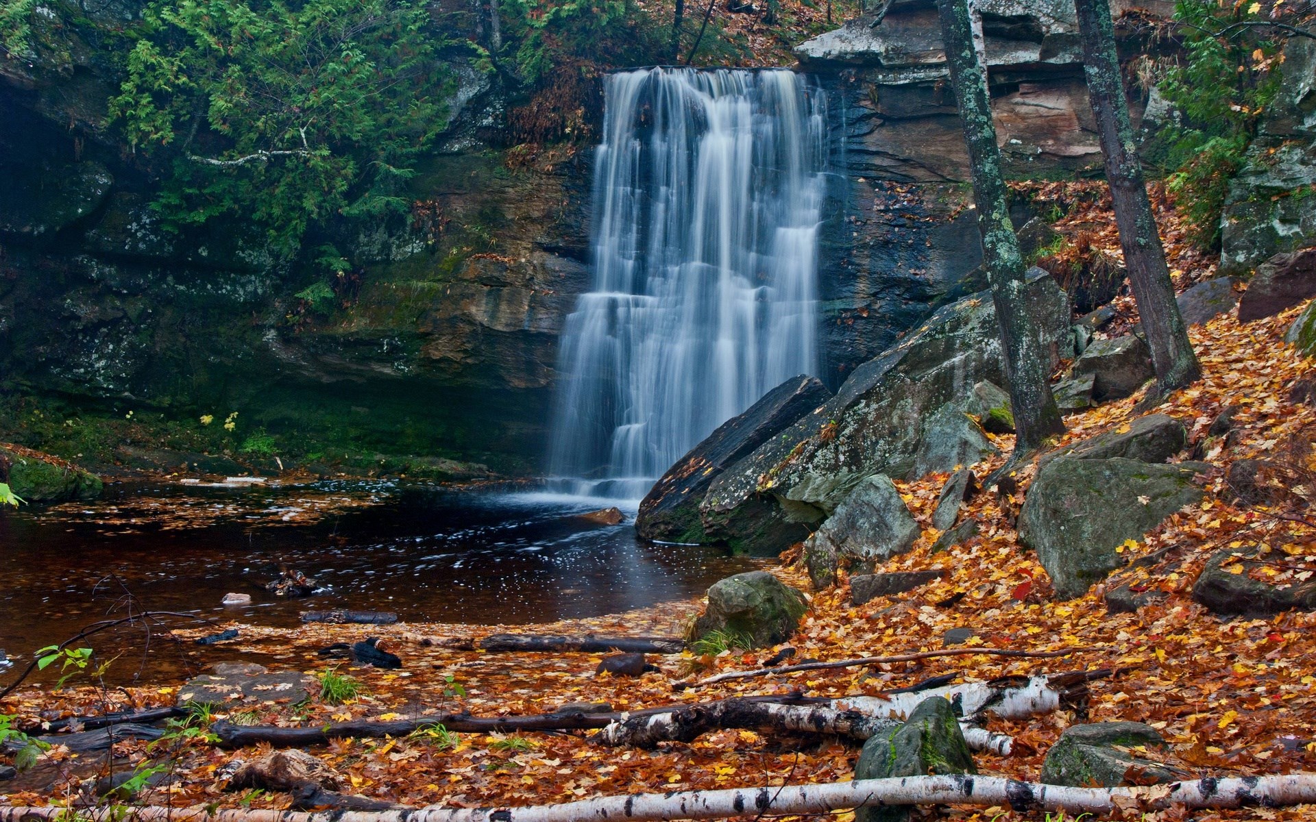 Waterfall in a forest with autumn leaves HD Wallpaper