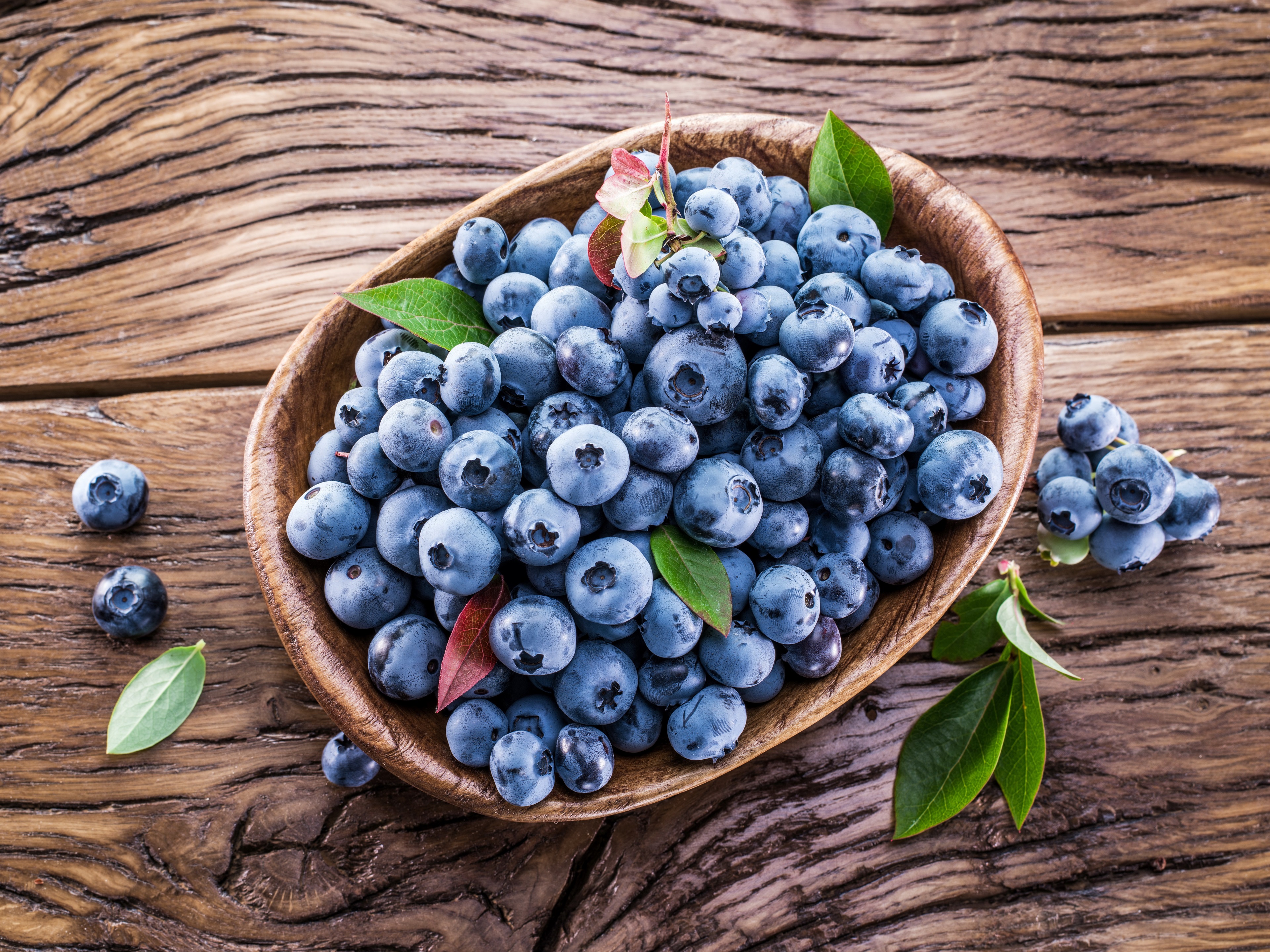 Blueberries in a wooden bowl on a wooden table HD Wallpaper
