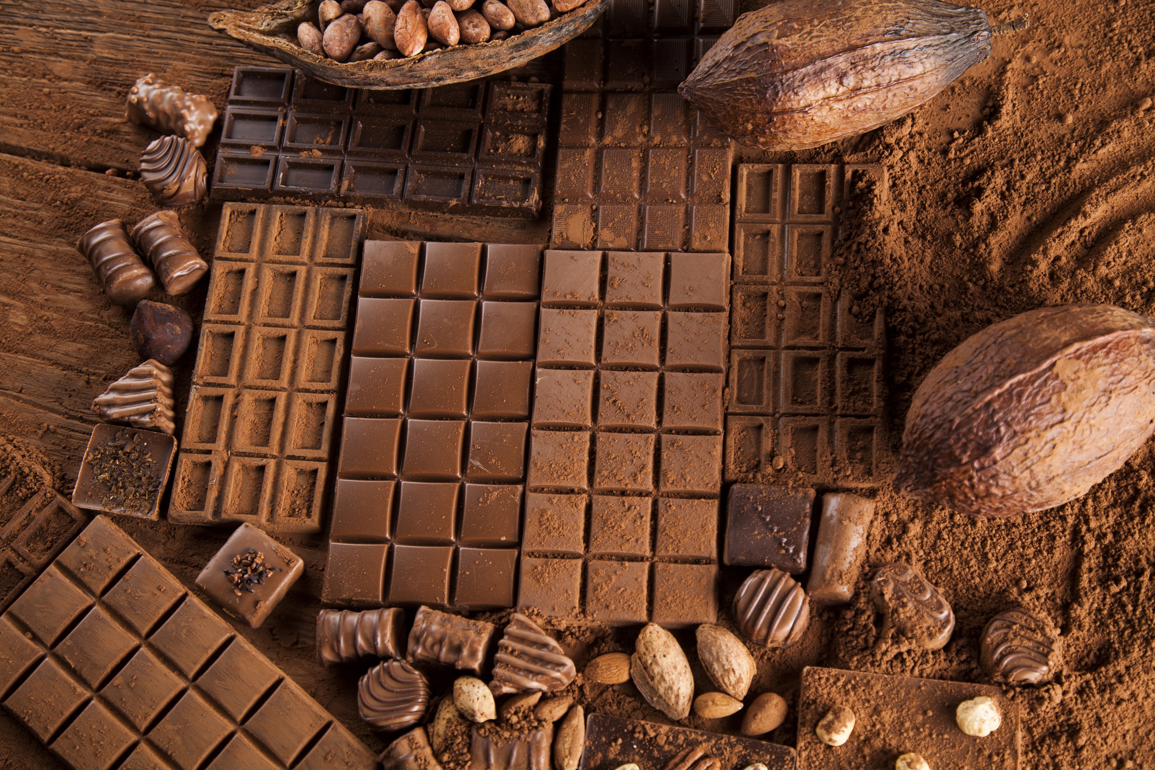 Chocolate bars, cocoa pods, and nuts on cocoa powder HD Wallpaper