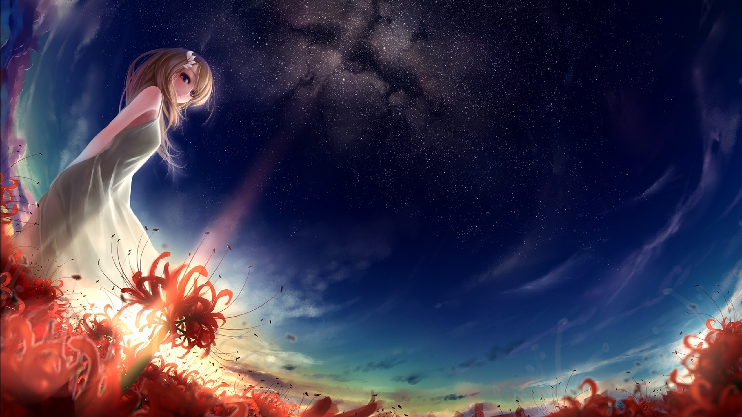 Anime girl in a white dress in a field of red flowers under the stars HD Wallpaper