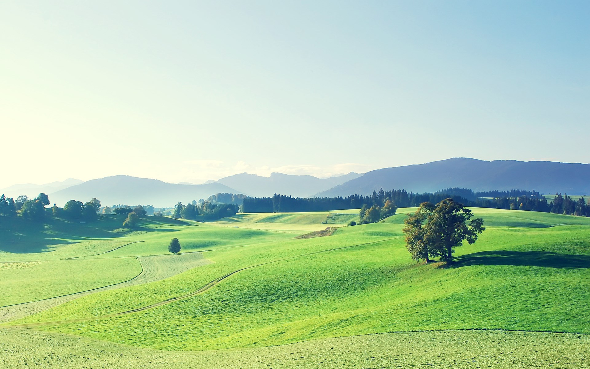 Rolling green hills with trees and mountains HD Wallpaper