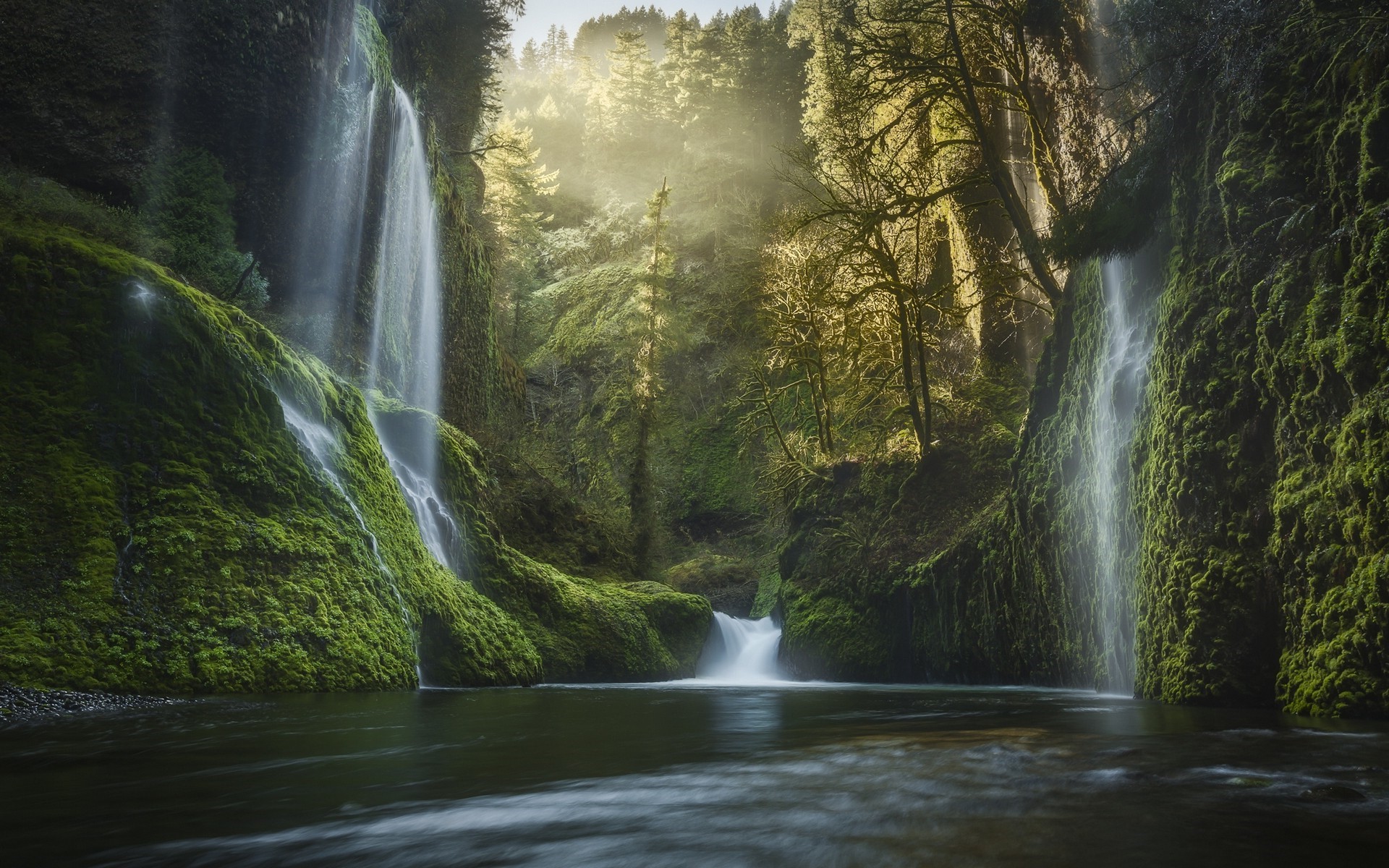 Mossy waterfalls in a misty Oregon forest at sunrise HD Wallpaper