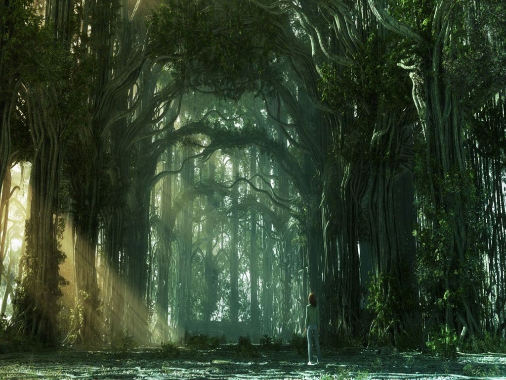 Fantasy art of a woman in a forest HD Wallpaper