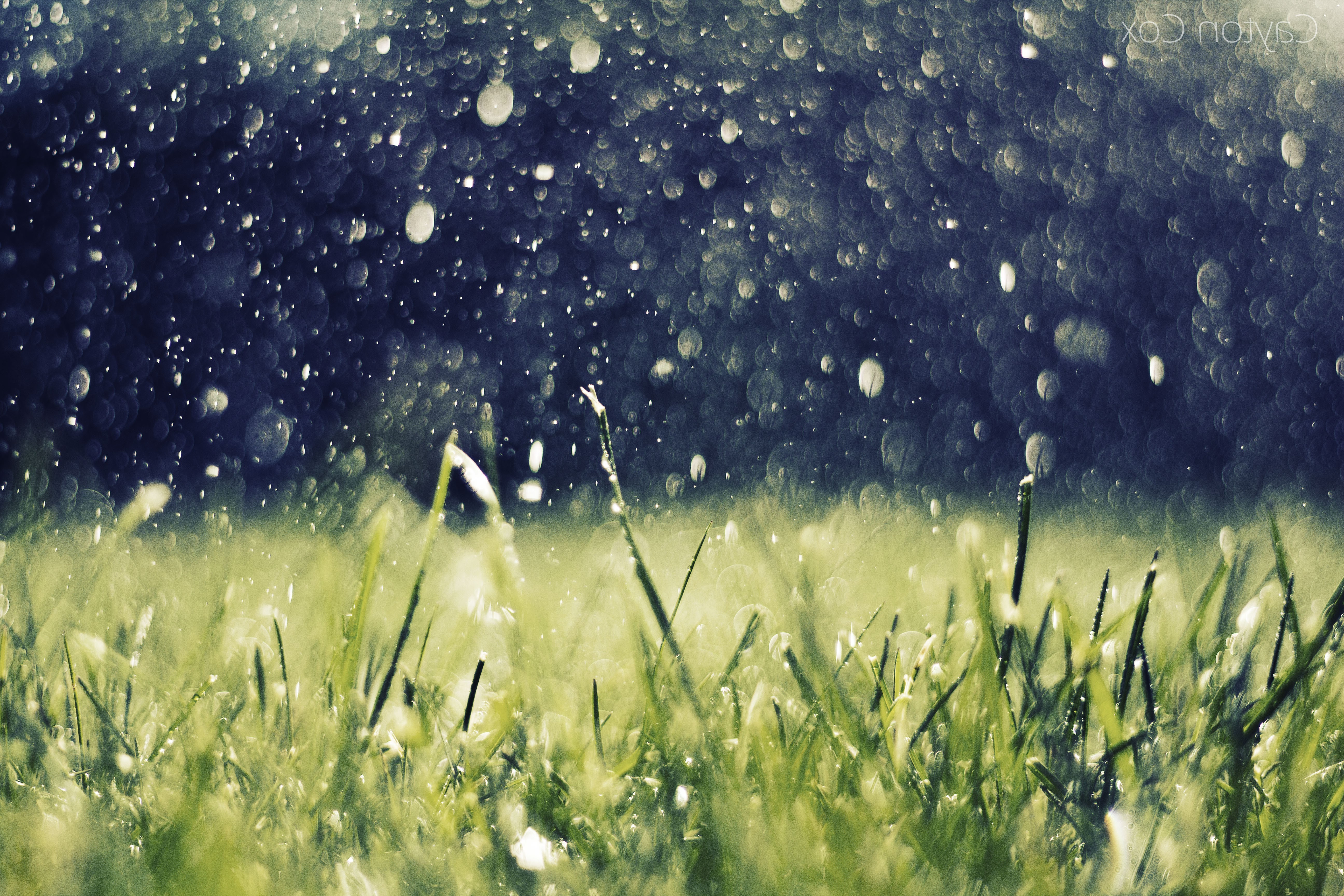 Raindrops falling on grass HD Wallpaper