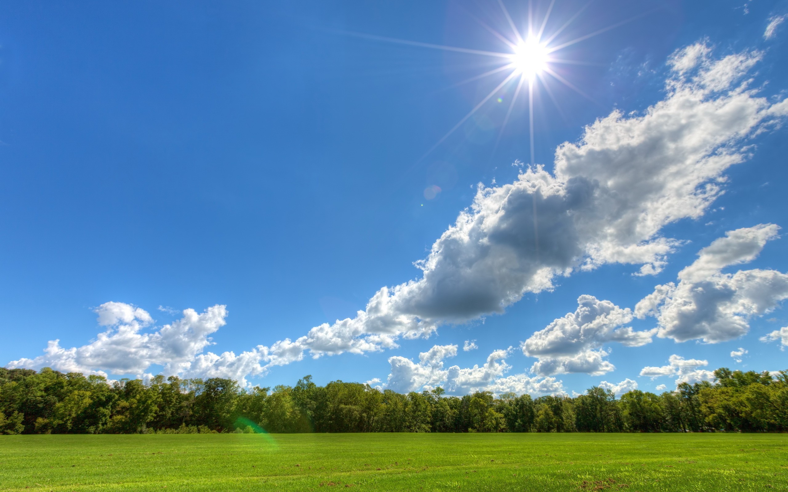 Sunny day over a green field and forest HD Wallpaper