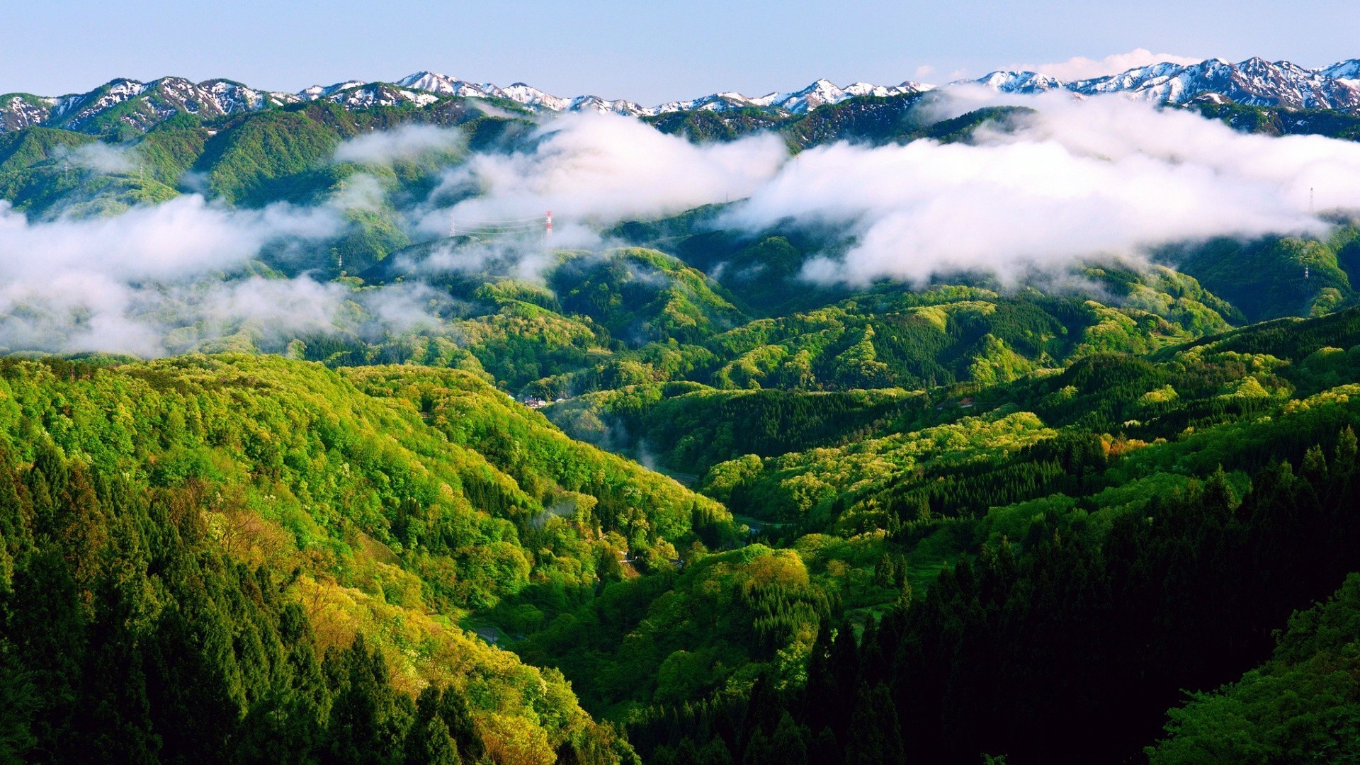 Mountain range with green hills and mist HD Wallpaper