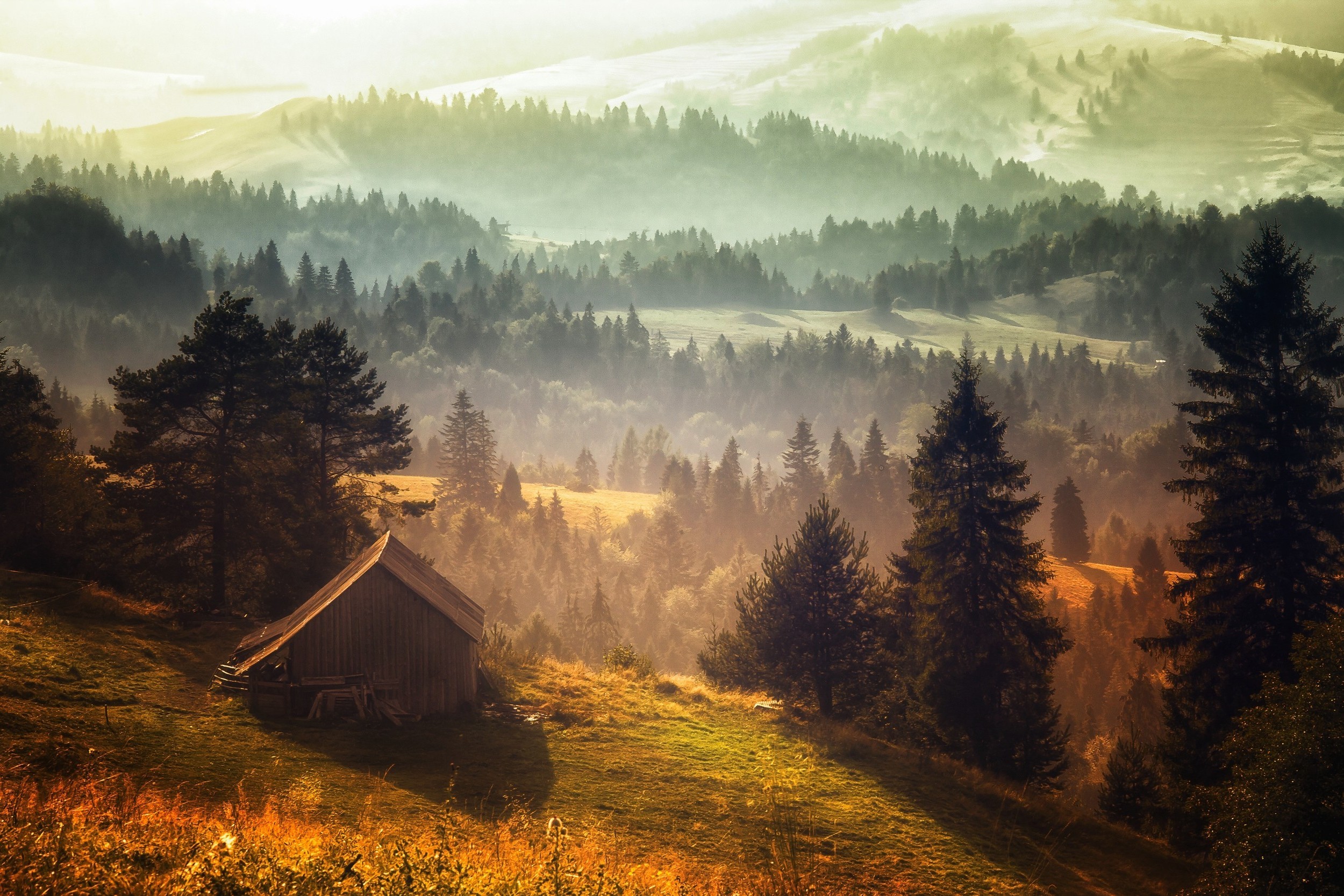 Misty mountain forest landscape with a wooden cabin HD Wallpaper