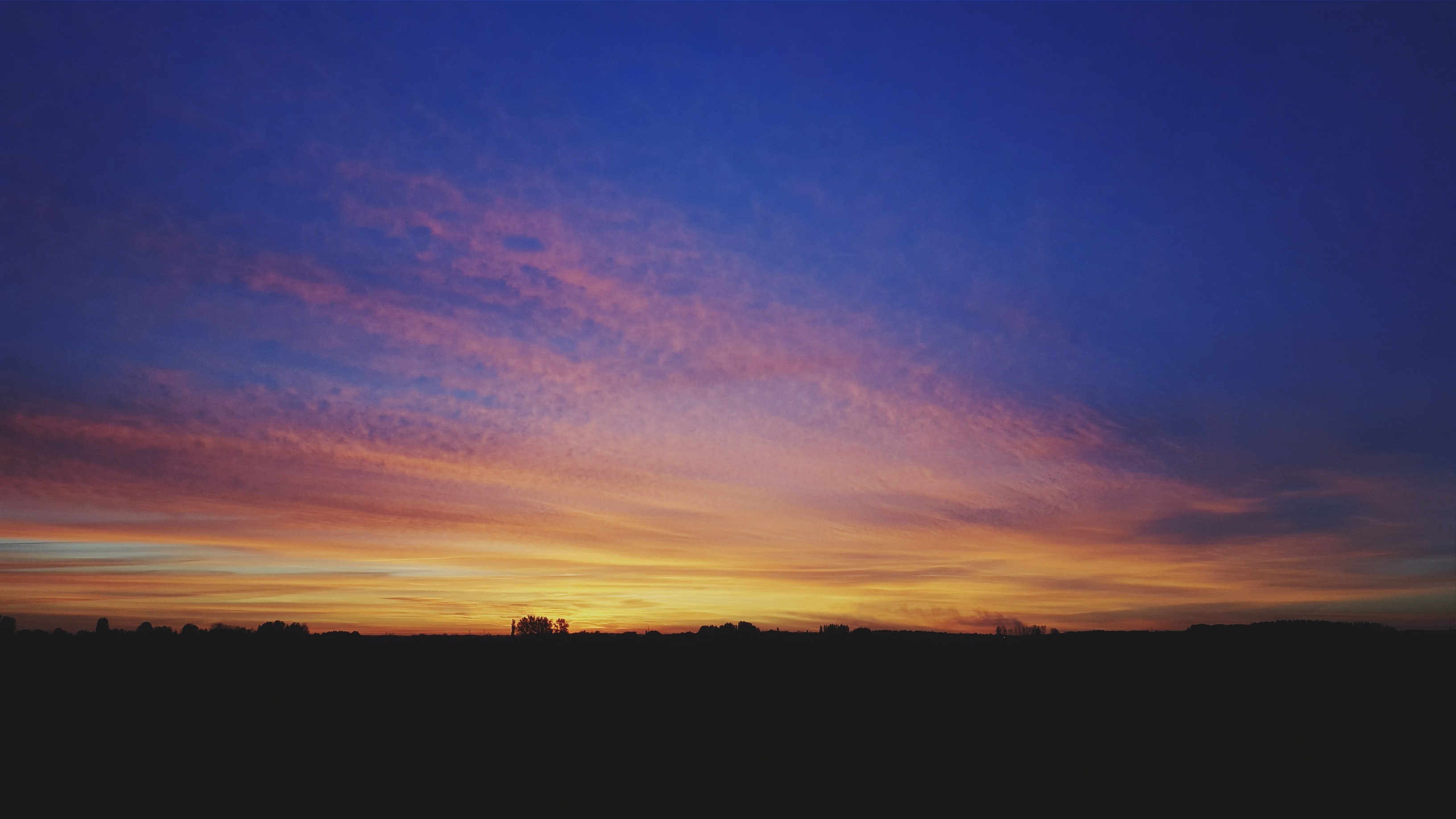Silhouette of trees against a colorful sunset sky HD Wallpaper