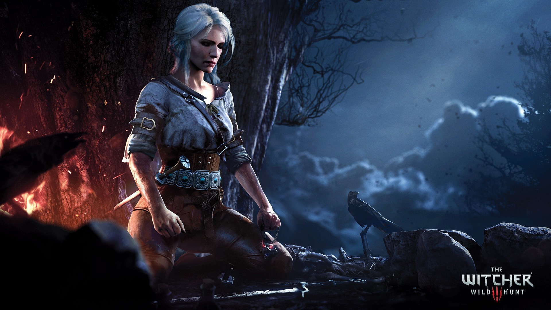 Ciri from The Witcher 3: Wild Hunt HD Wallpaper