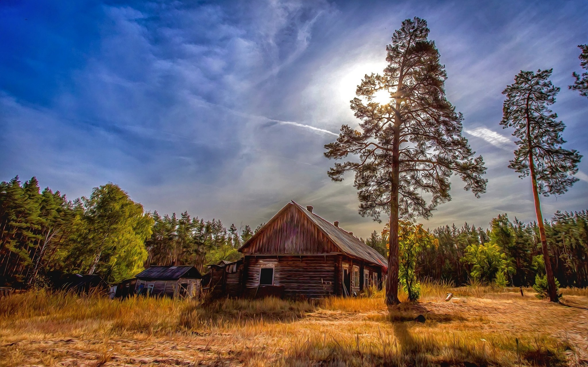 Sunlit Abandoned Cabin in Autumn Russian Forest HD Wallpaper