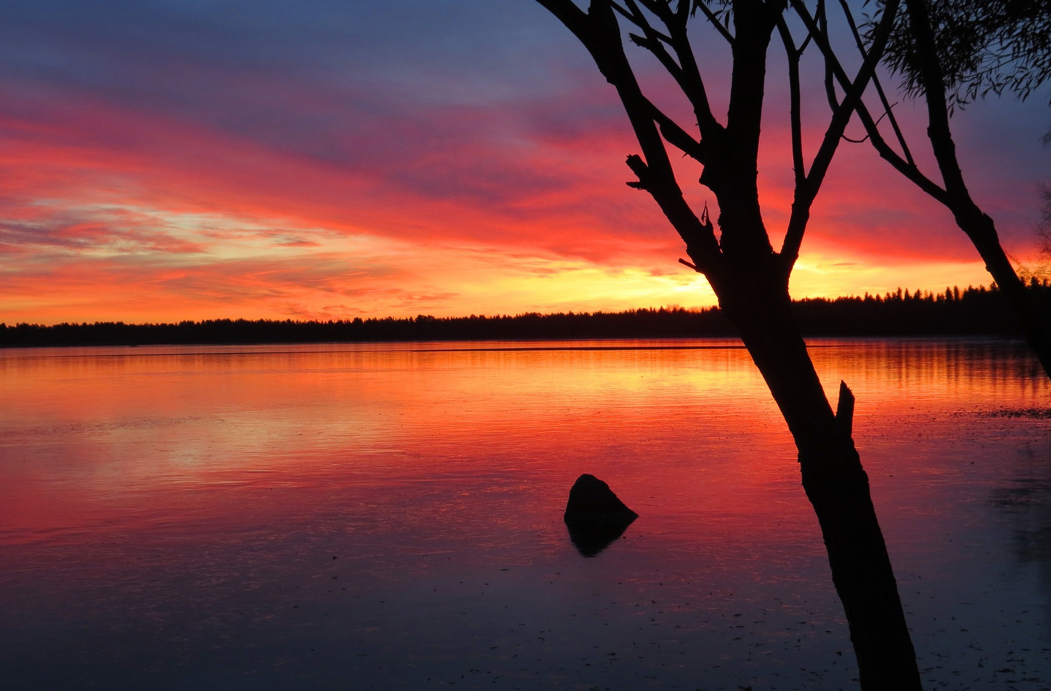 Sunset over a lake with trees in silhouette HD Wallpaper
