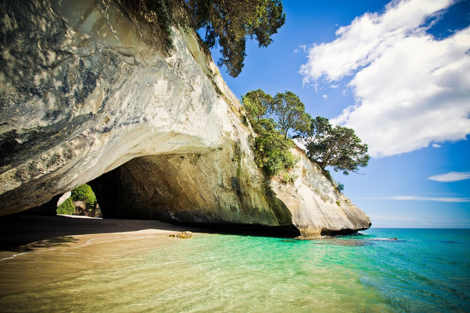 Cave on a rocky cliff overlooking the sea in New Zealand HD Wallpaper