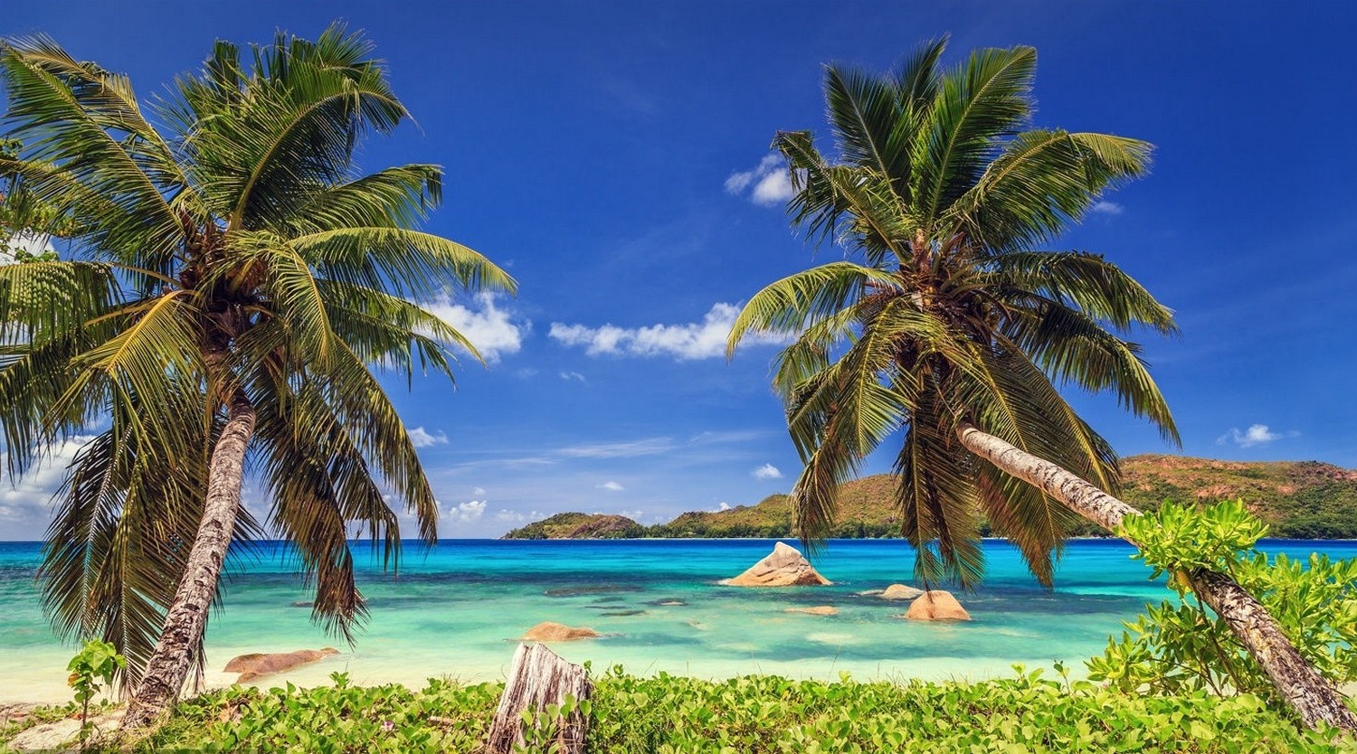 Tropical Seychelles Beach with Palm Trees and Blue Sea HD Wallpaper