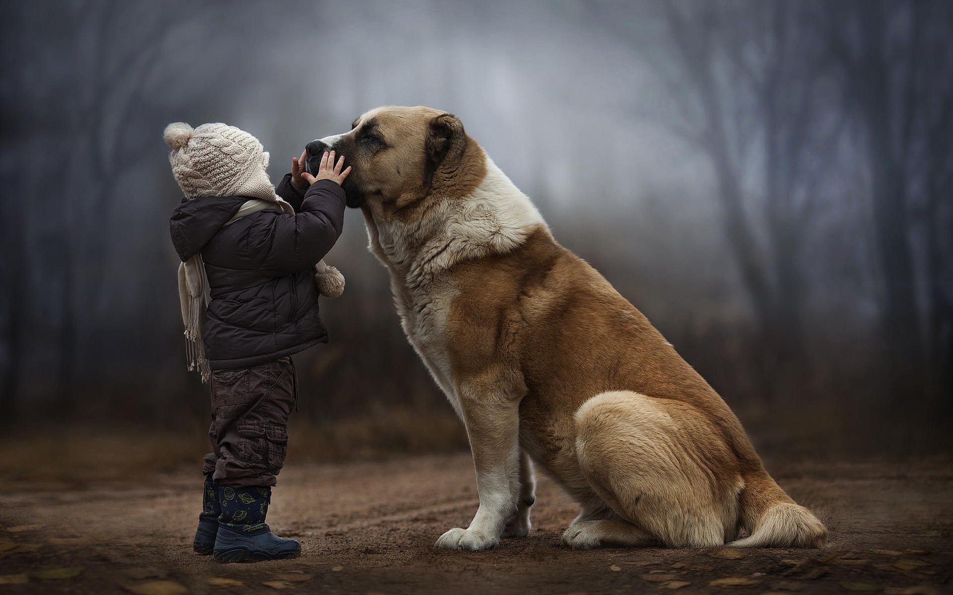 Child and large dog in a foggy forest HD Wallpaper
