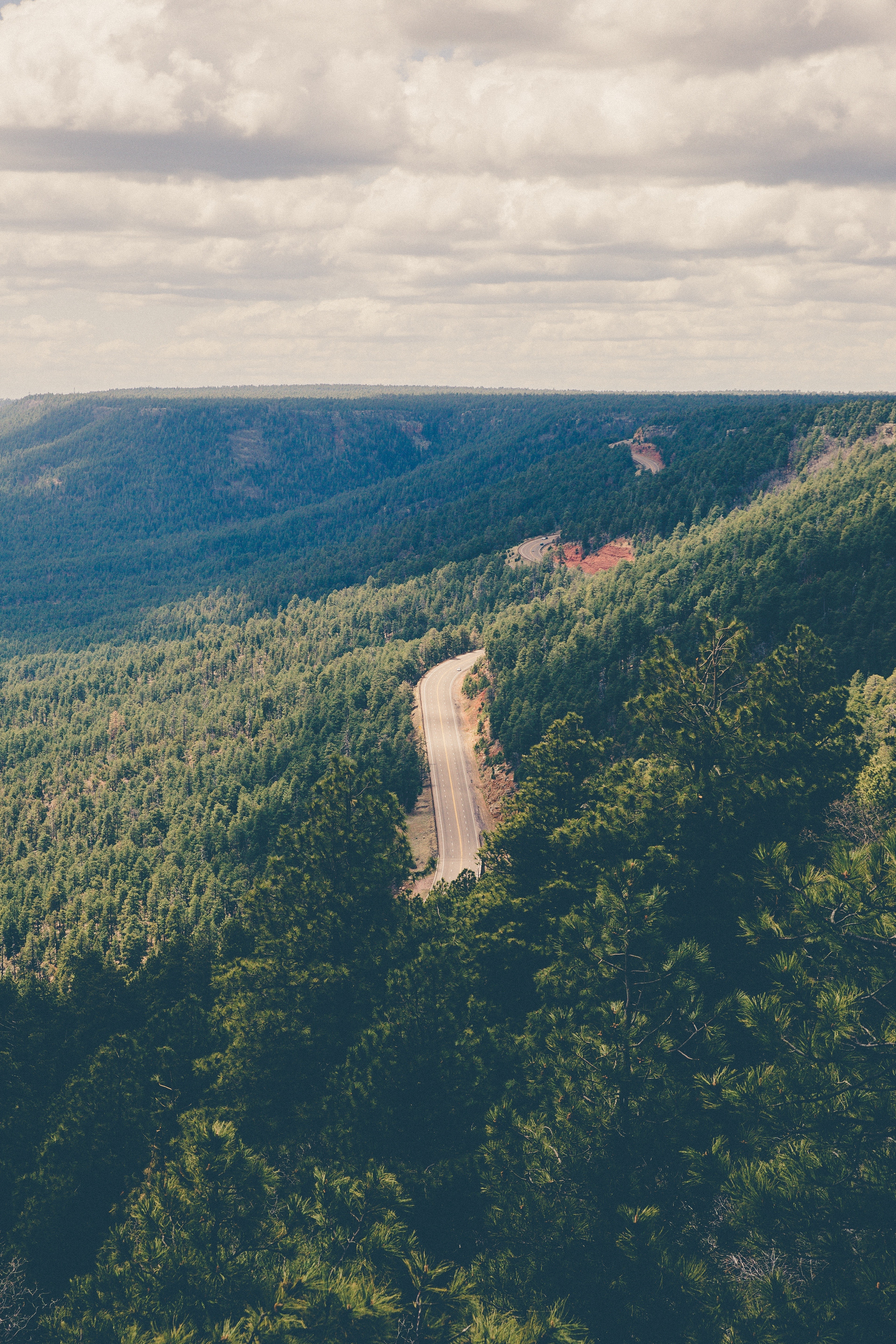 Winding road through a dense forest landscape HD Wallpaper