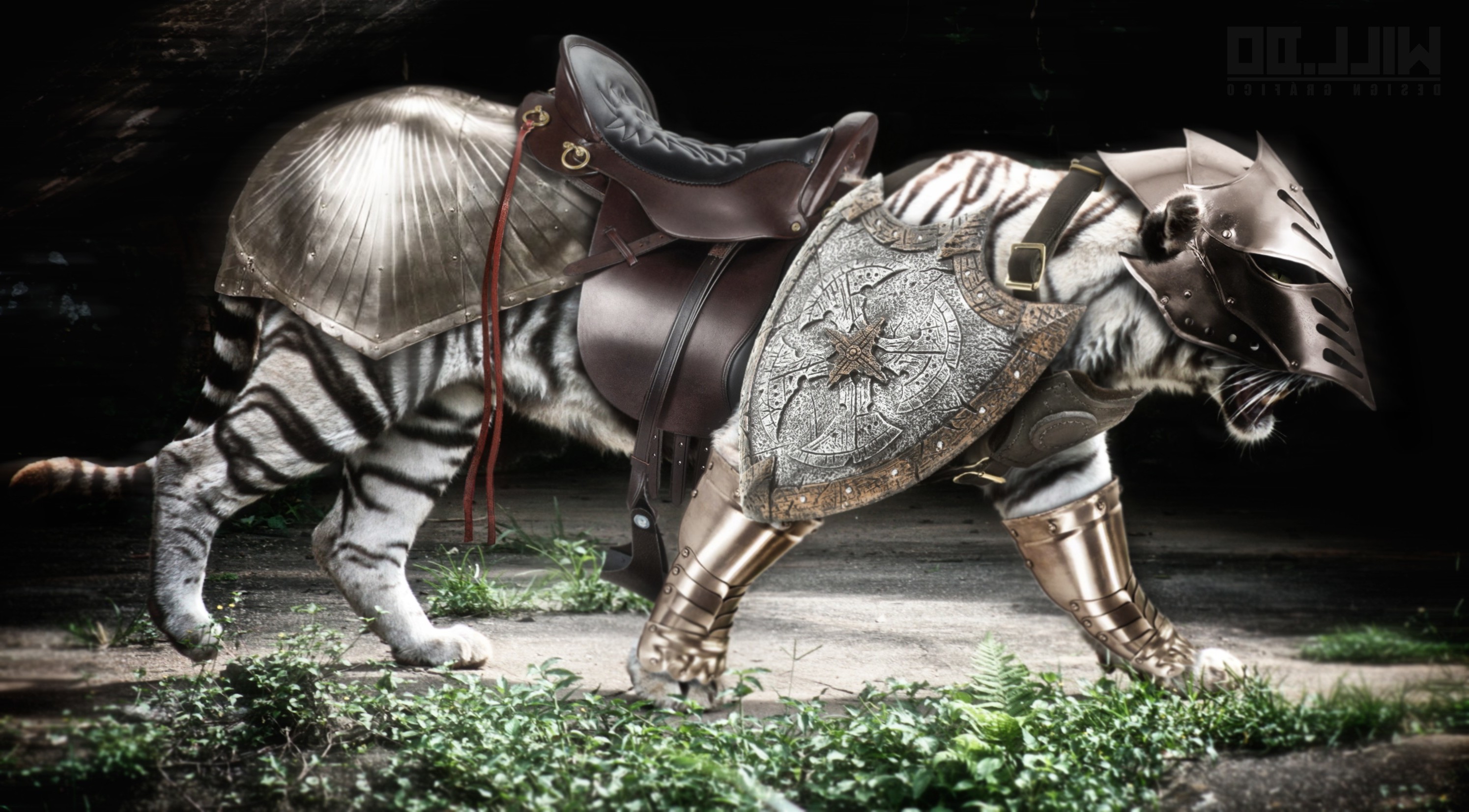 Armored White Tiger Warrior HD Wallpaper