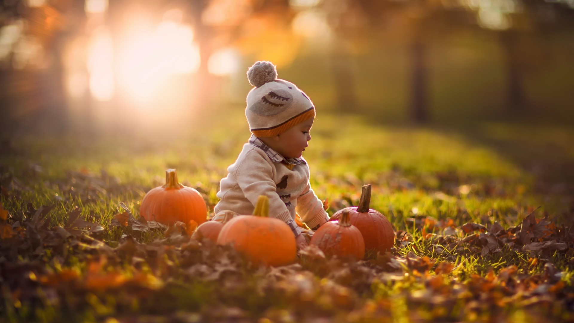 Baby in a pumpkin patch during autumn HD Wallpaper