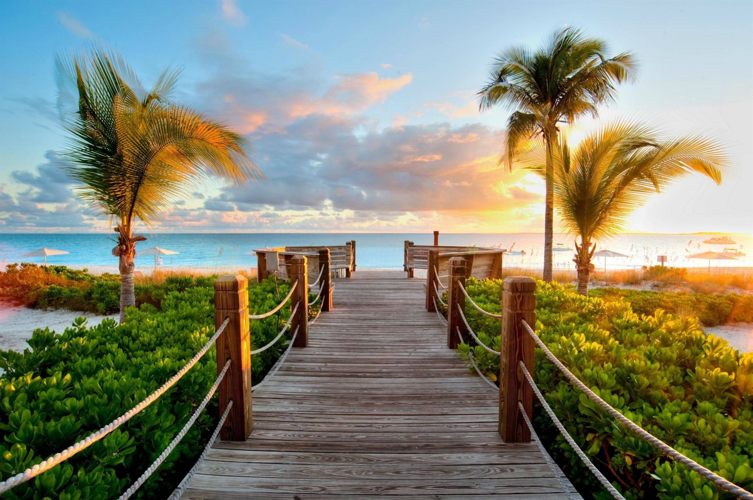 Wooden boardwalk to the beach with palm trees at sunset HD Wallpaper