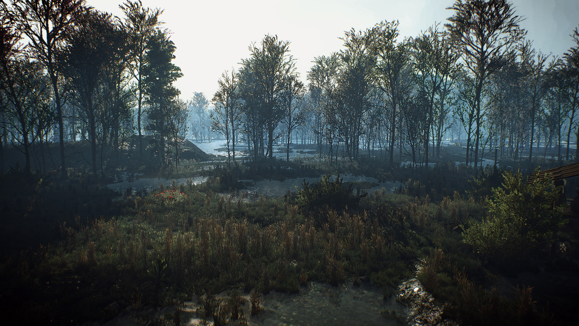The Witcher 3: Wild Hunt swamp landscape HD Wallpaper