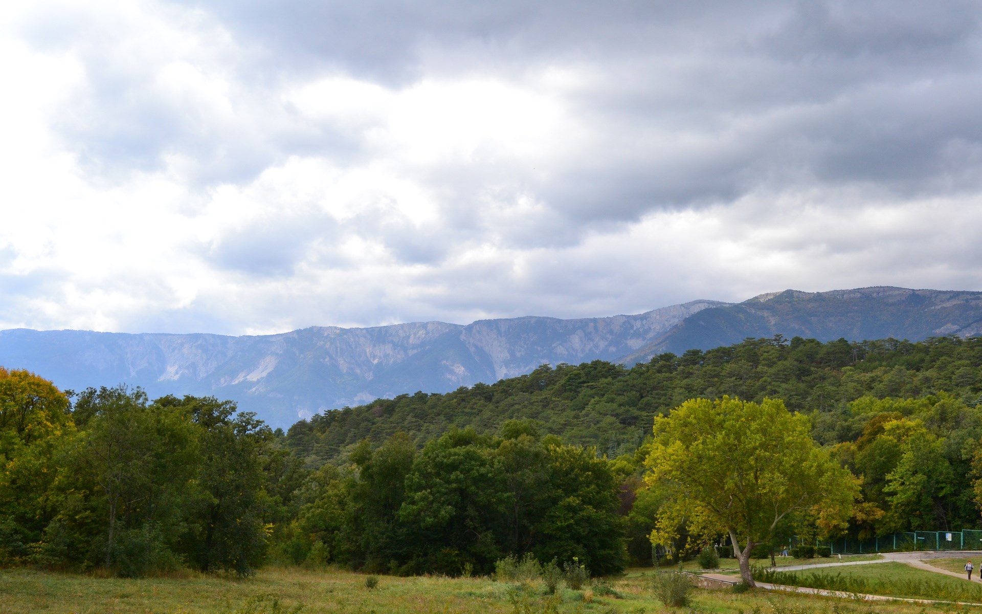 Mountain range behind a forest and meadow HD Wallpaper