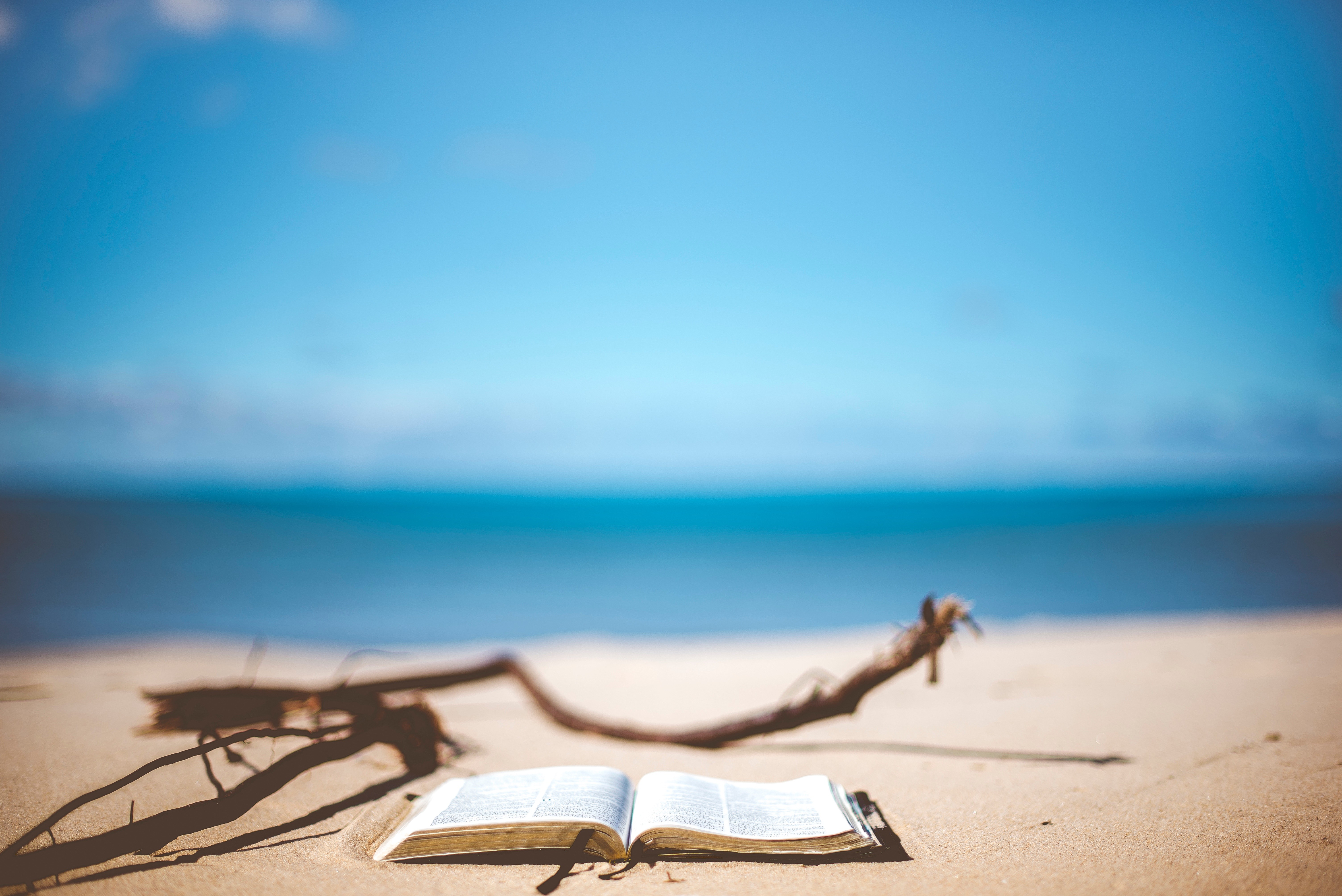 Open book on a sandy beach with driftwood HD Wallpaper