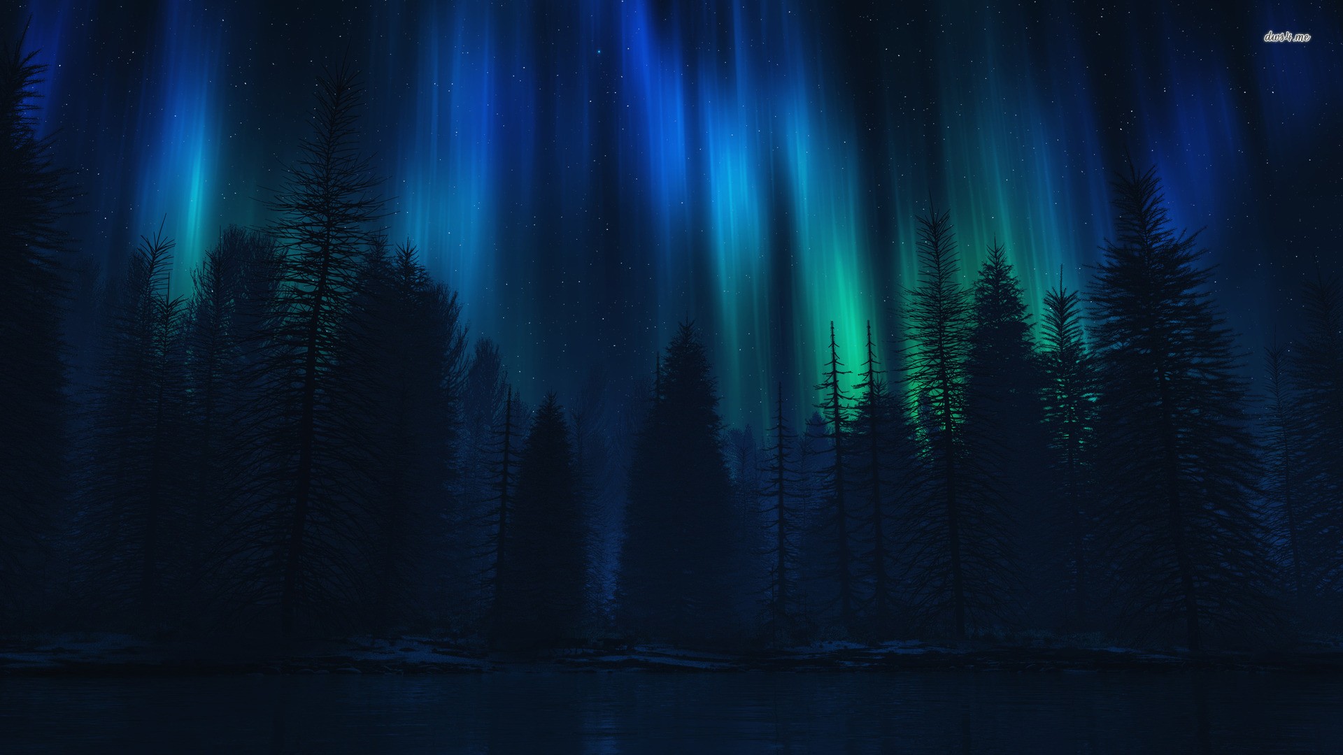 Aurora Borealis over a dark forest and lake HD Wallpaper