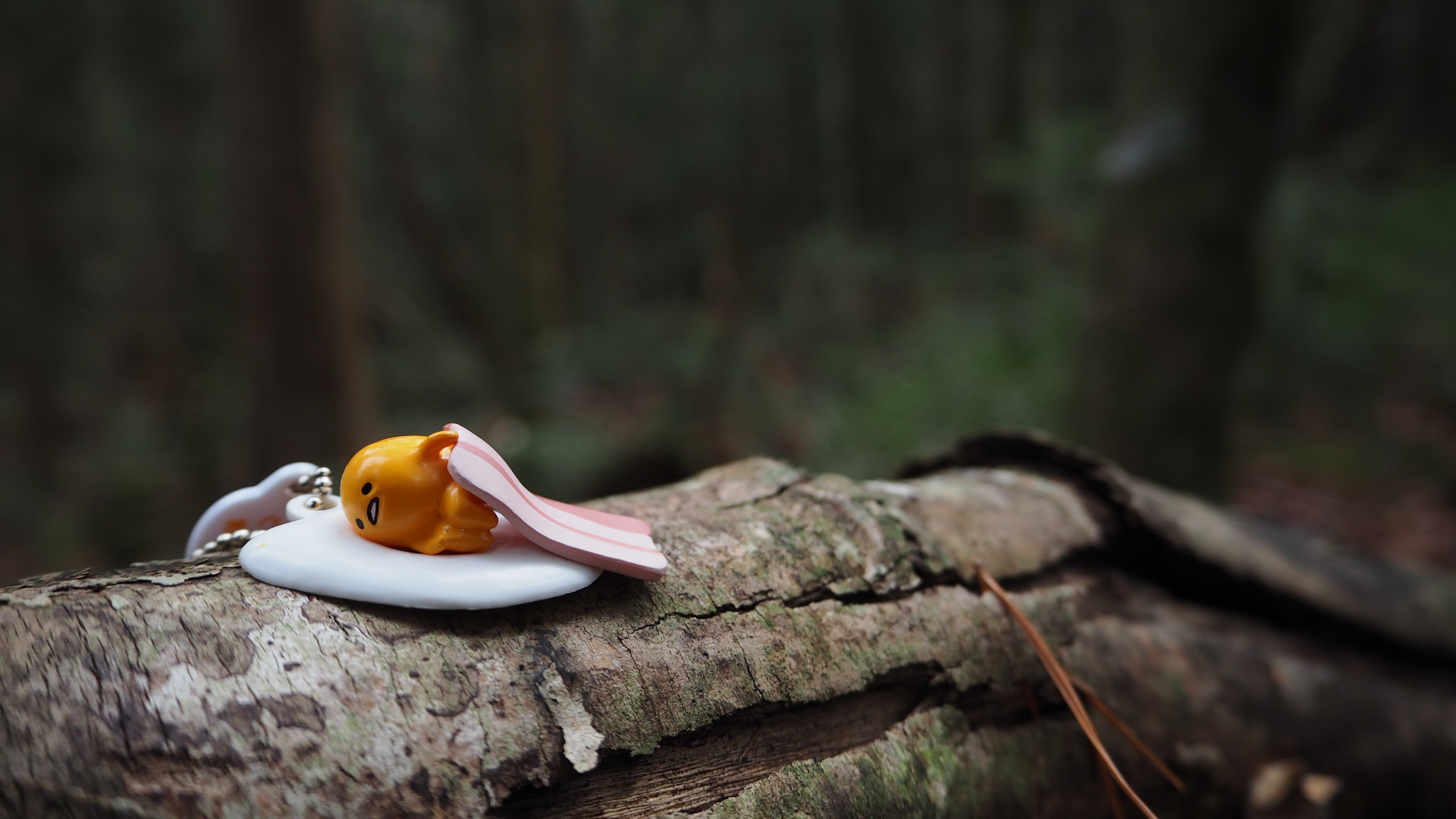Gudetama keychain on a log in the forest HD Wallpaper