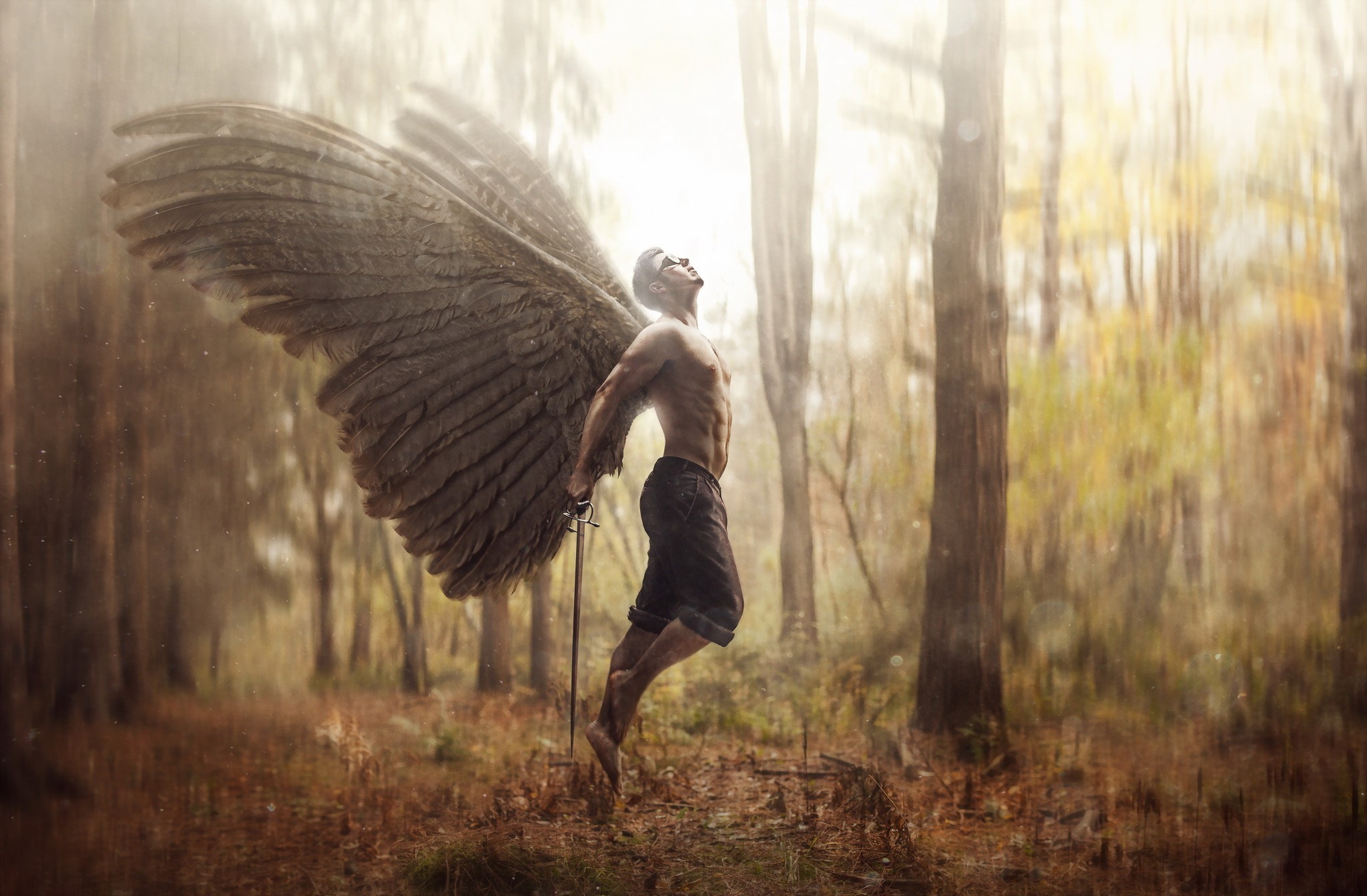 Man with angel wings and sword in forest HD Wallpaper