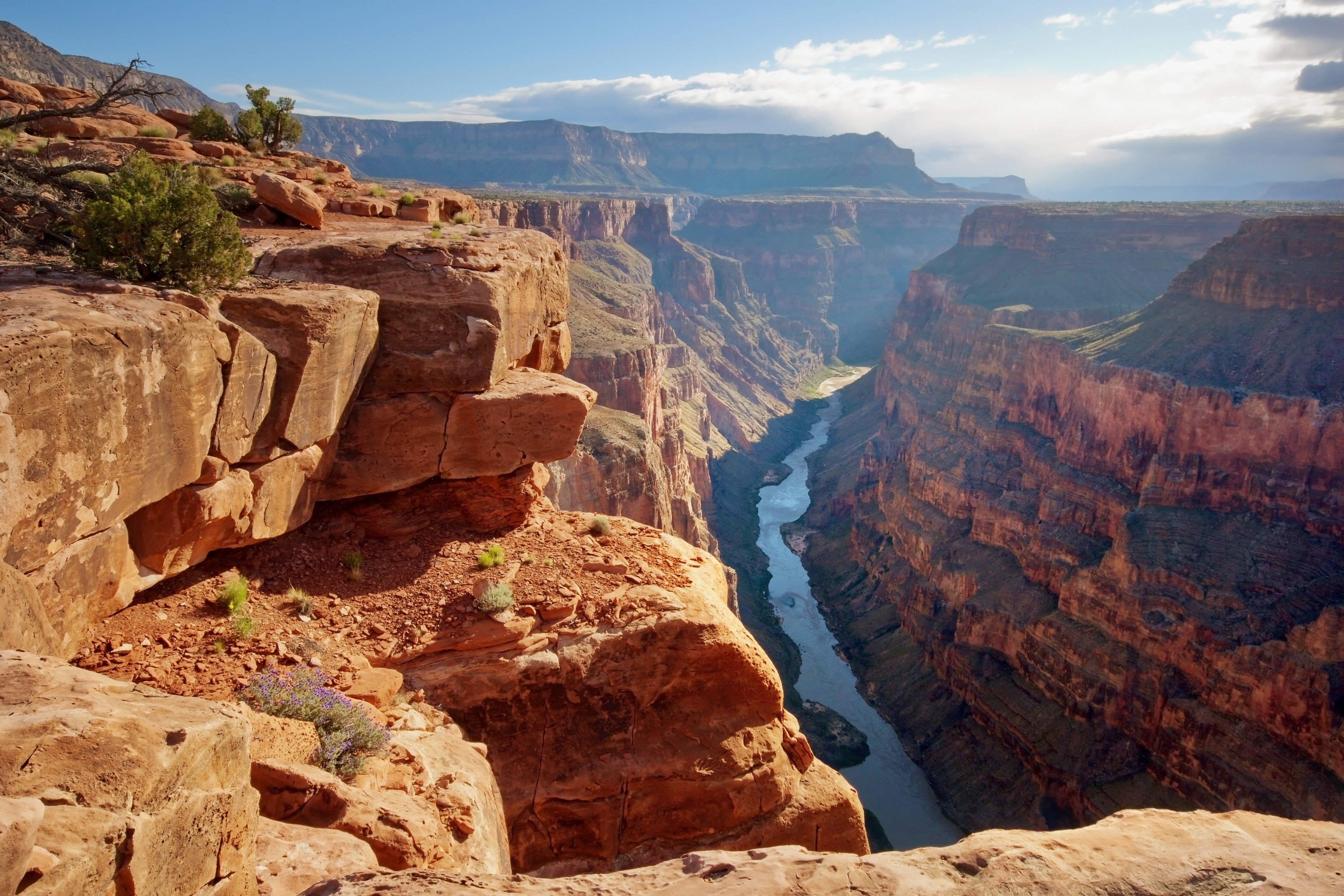 Grand Canyon National Park with Colorado River HD Wallpaper