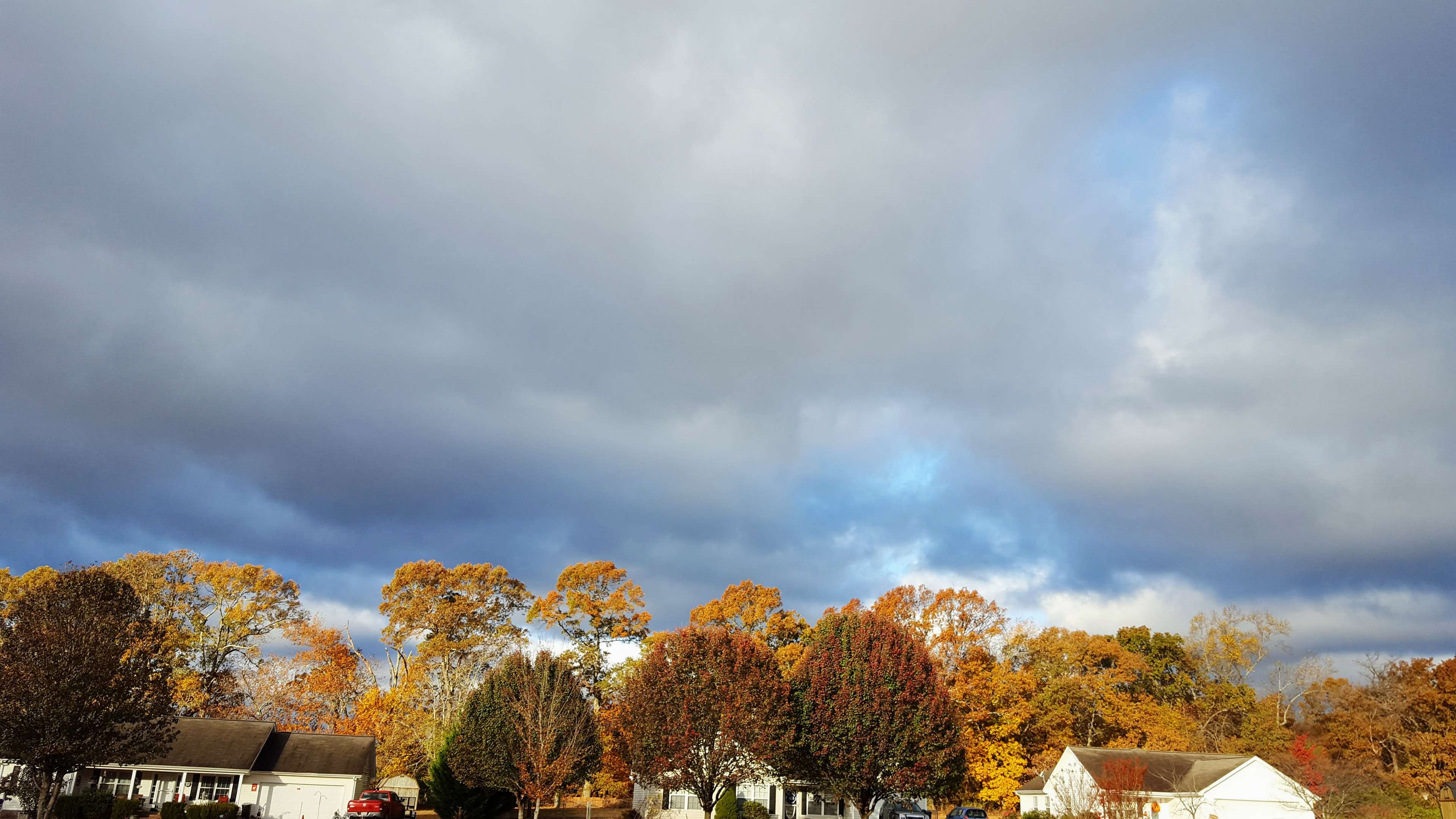 Autumn trees and houses under cloudy sky HD Wallpaper