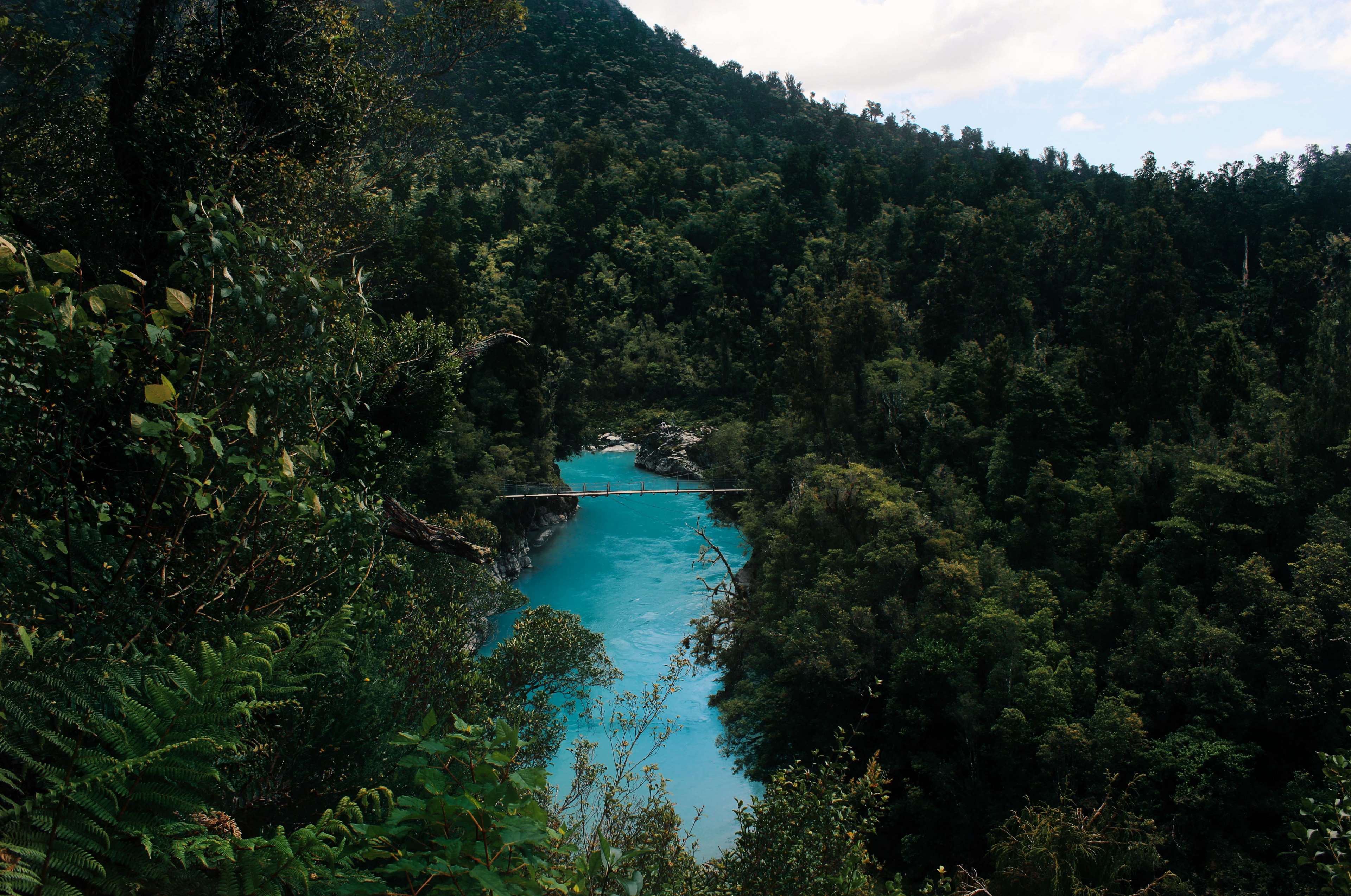 Turquoise river flowing through a dense forest with a bridge HD Wallpaper
