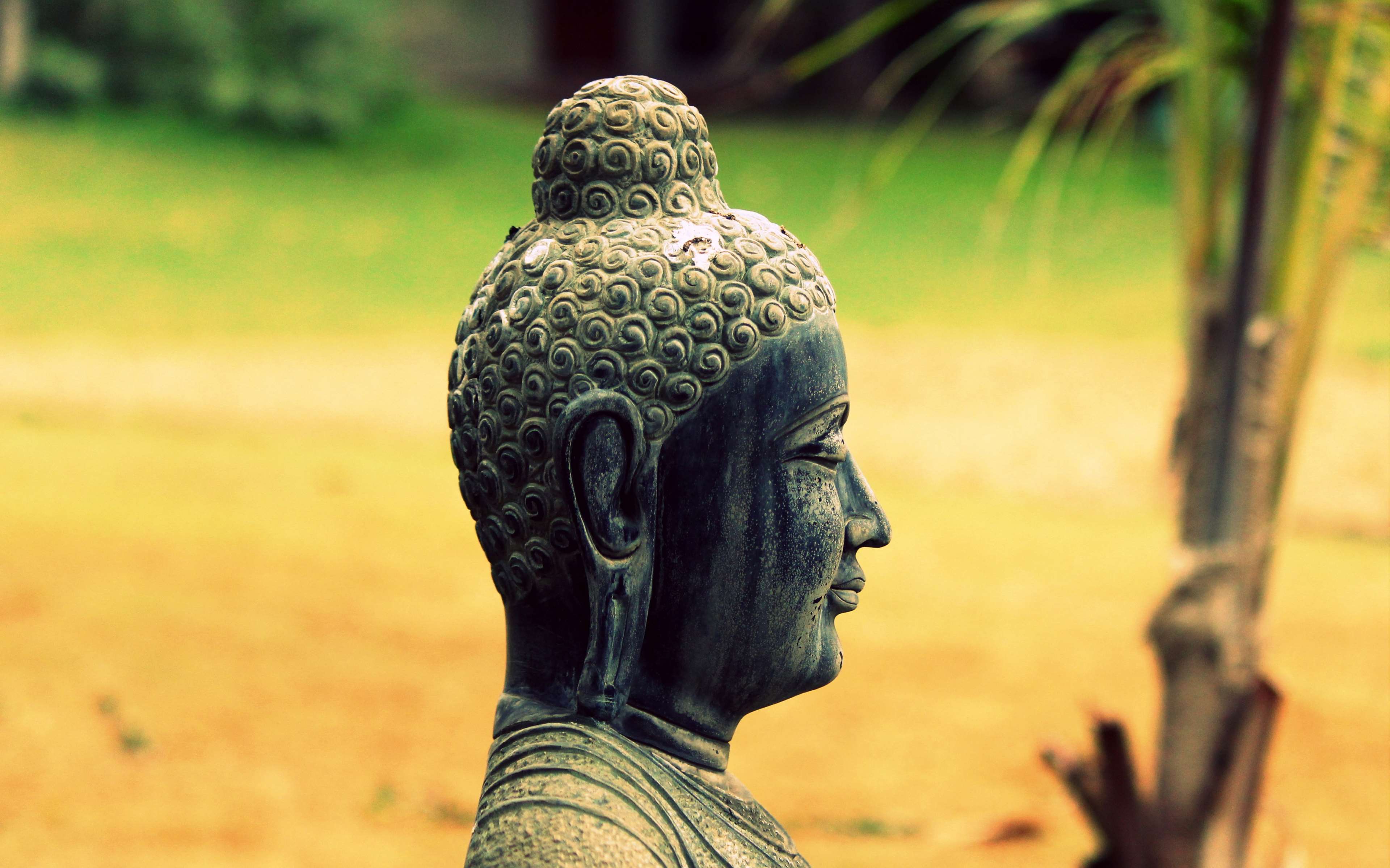 Buddha sculpture in a garden HD Wallpaper