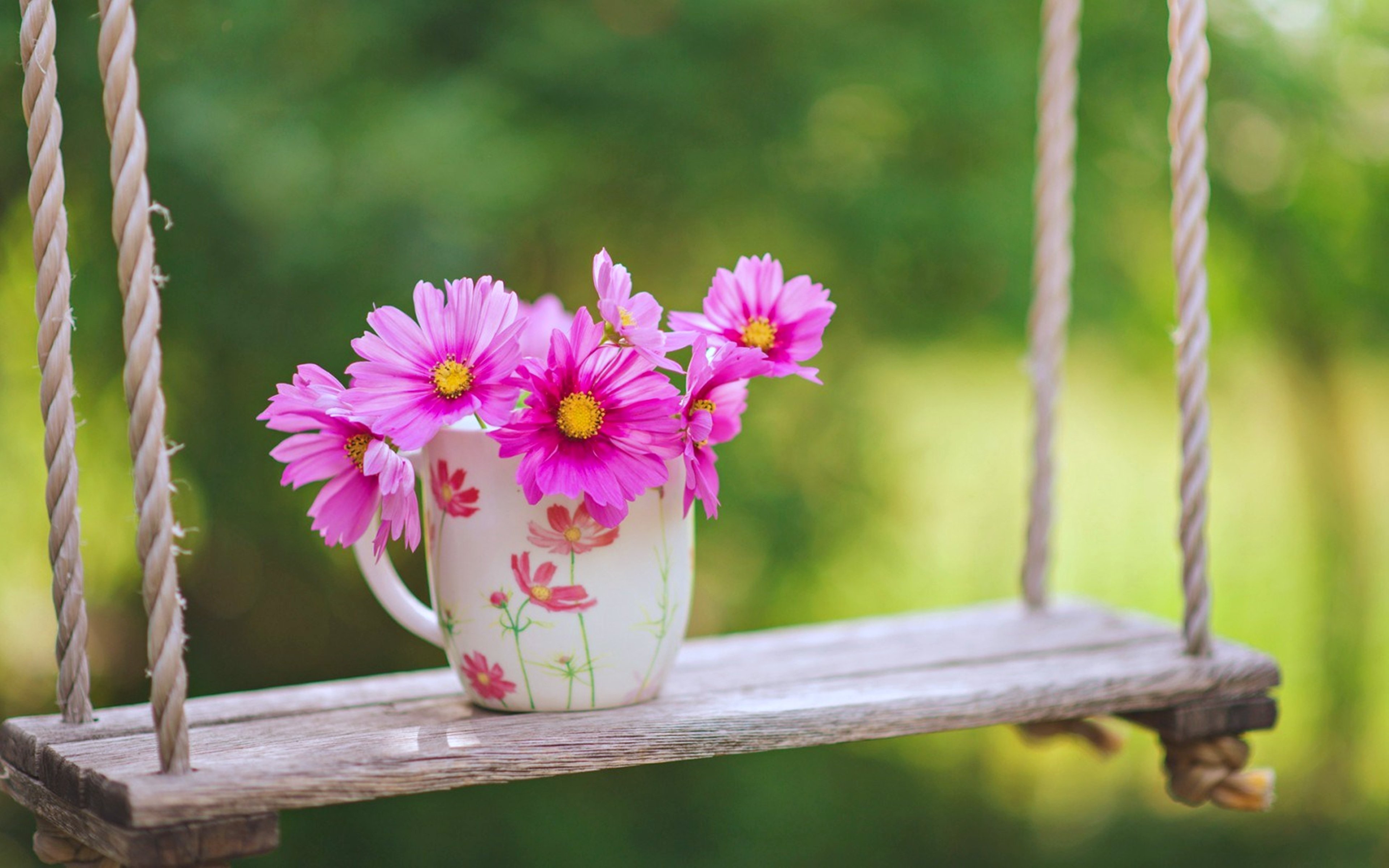 Pink cosmos flowers in a mug on a wooden swing HD Wallpaper