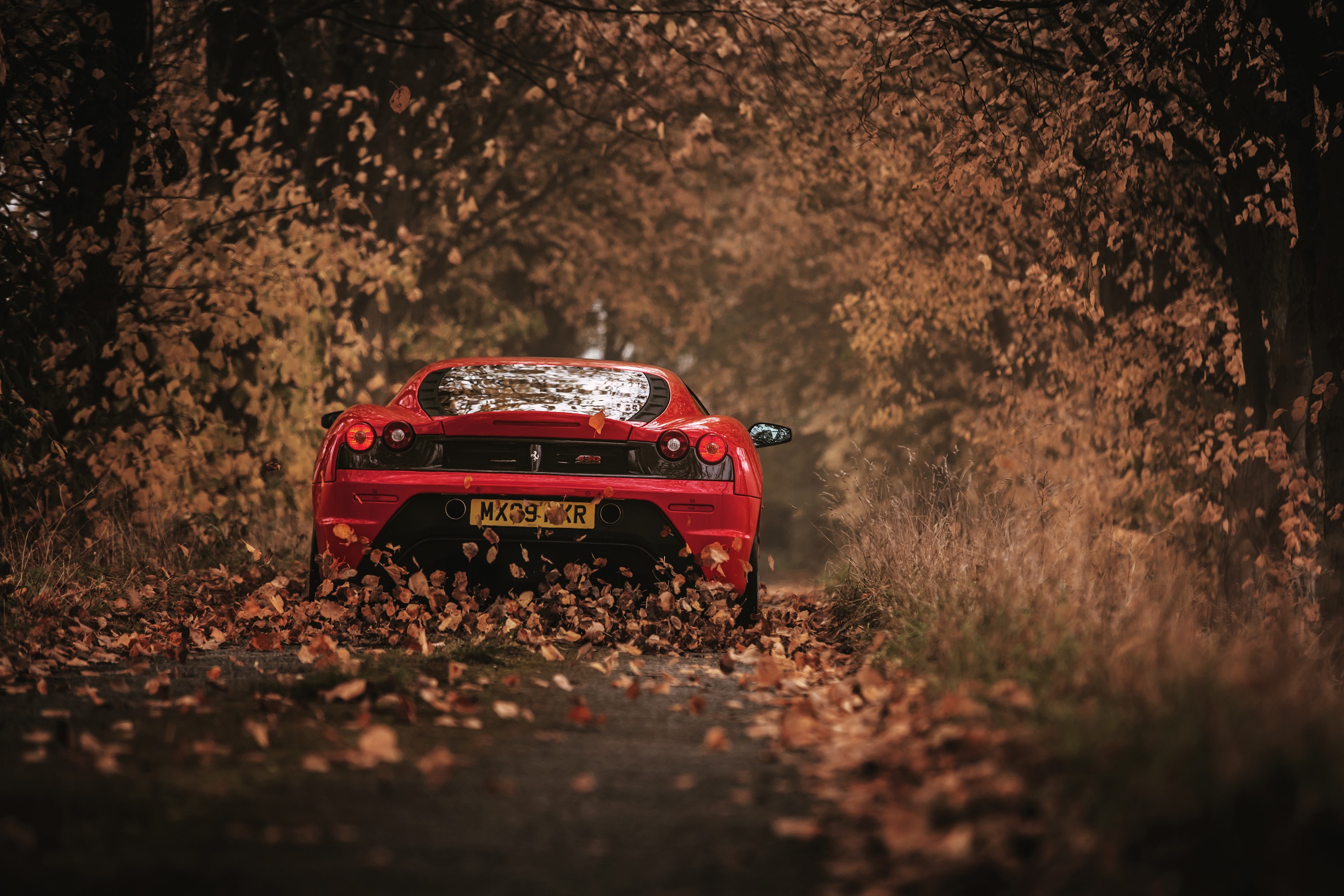 Red Ferrari F430 Scuderia in Autumn HD Wallpaper