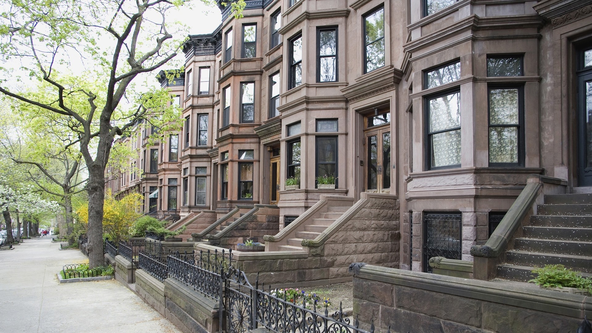 Brownstone row houses on a tree-lined street in New York HD Wallpaper