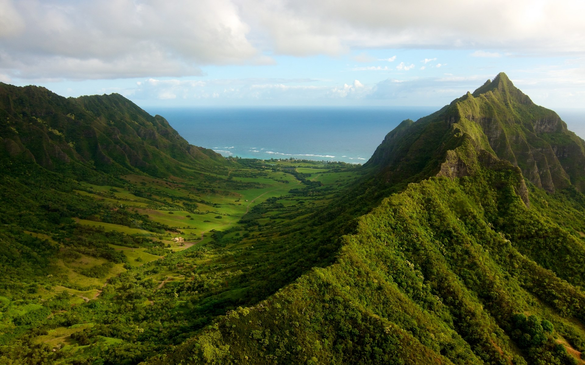 Aerial view of a lush green valley leading to the ocean HD Wallpaper