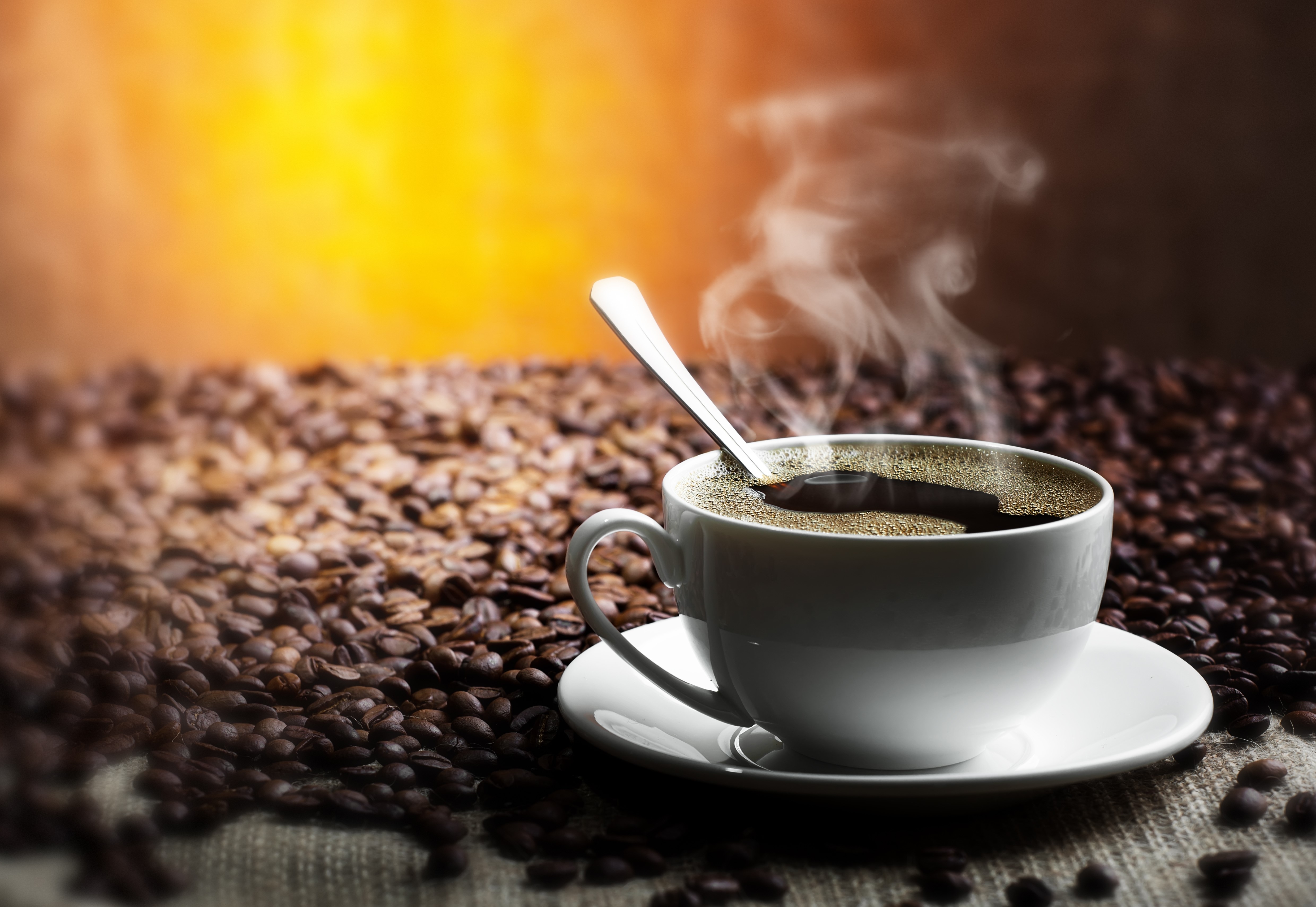 Steaming Hot Coffee in White Cup with Coffee Beans HD Wallpaper