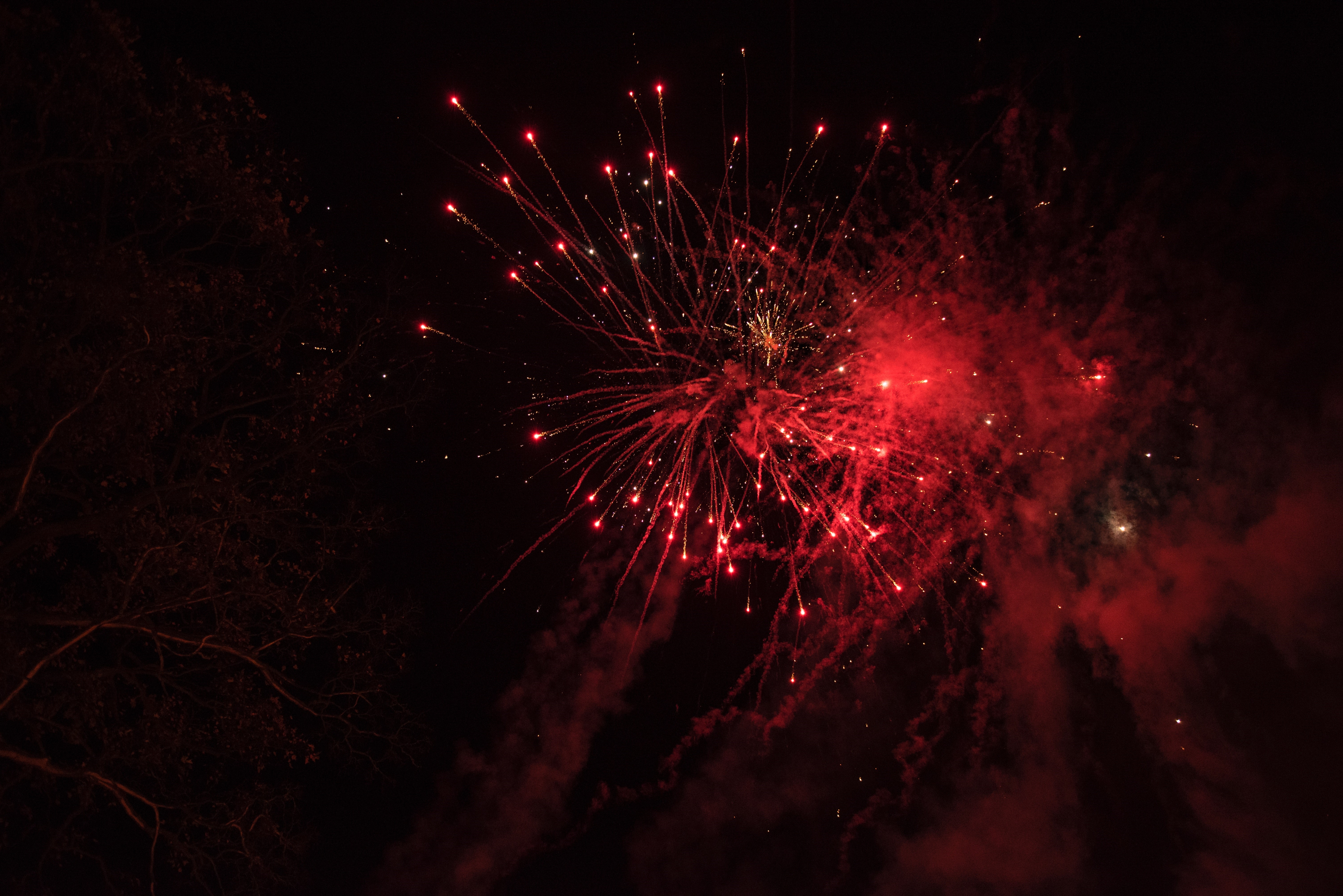 Red fireworks exploding in the night sky HD Wallpaper